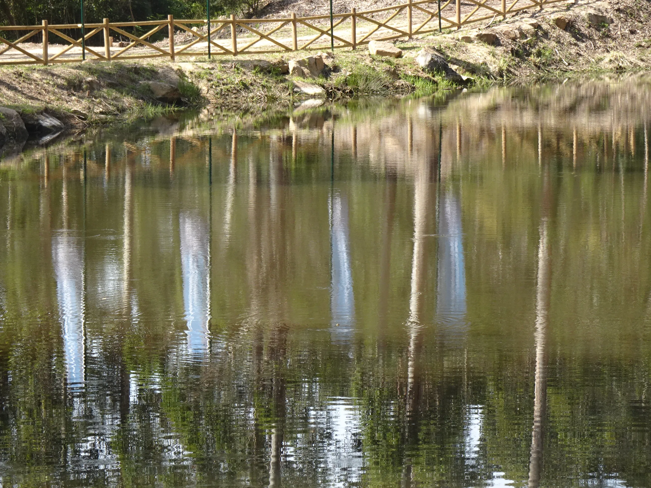 Passeio Pedestre à Lagoa Azul