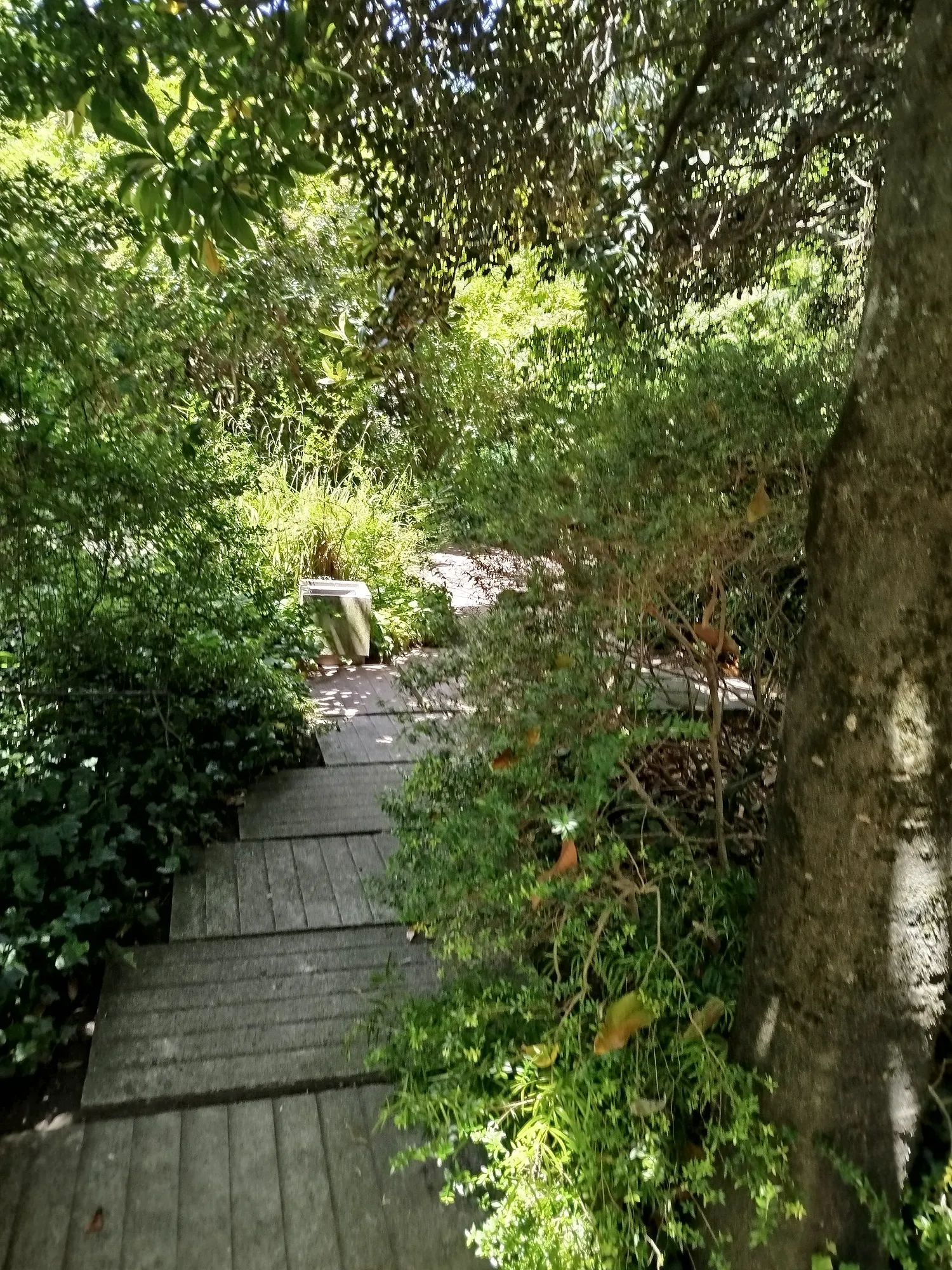 Jardins da Gulbenkian