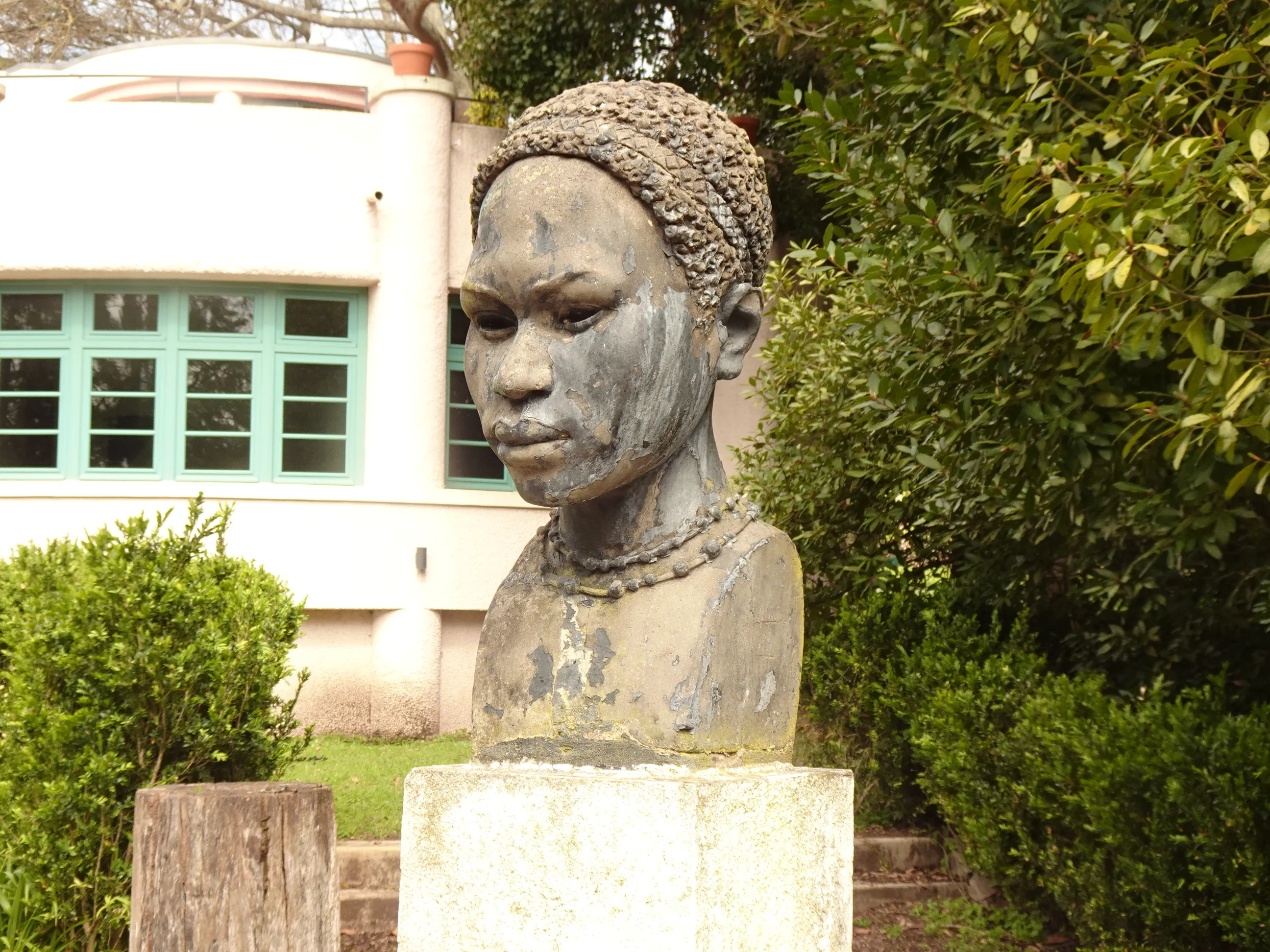 Jardim Botânico Tropical - A Visita