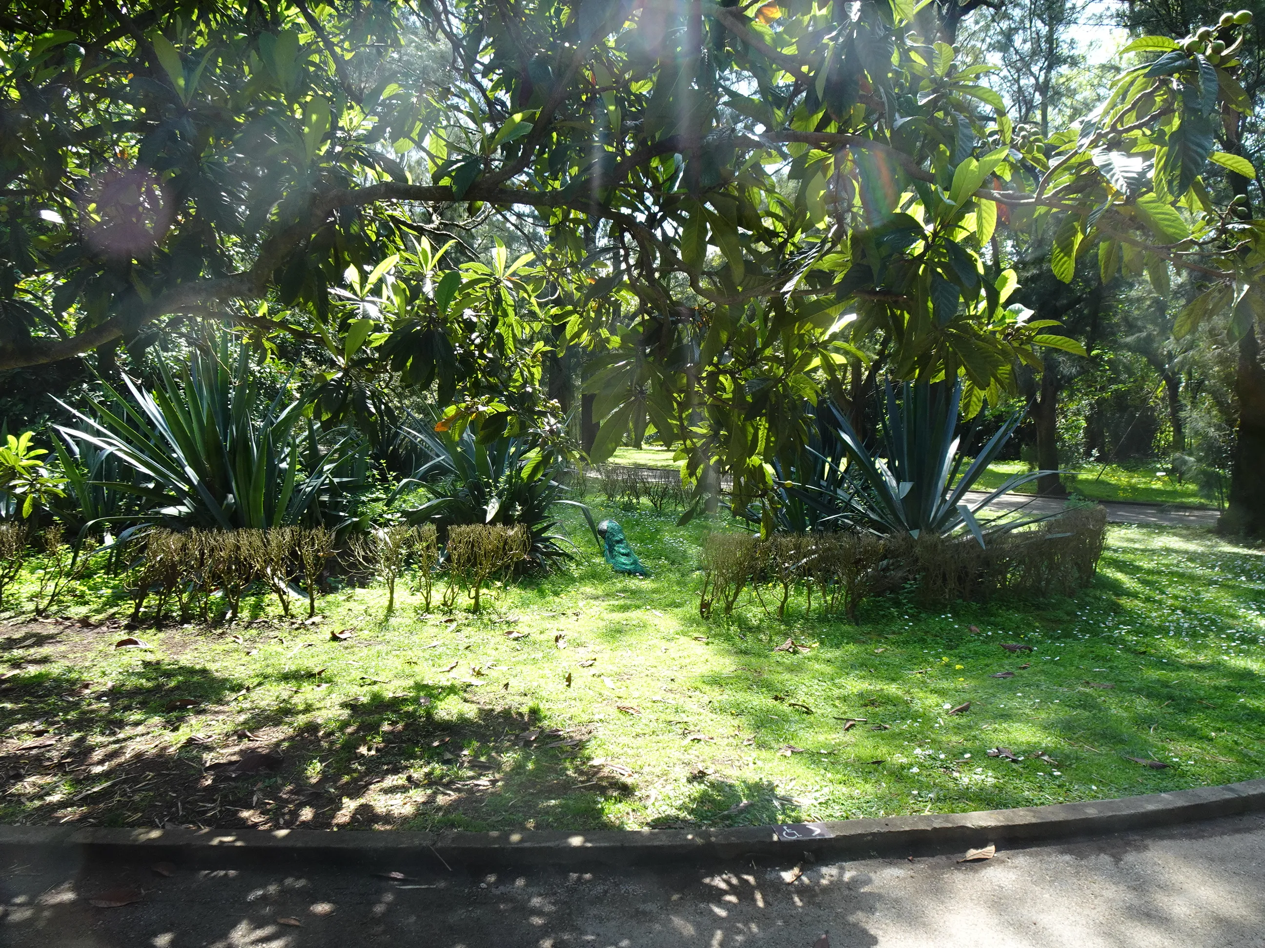 Jardim Botânico Tropical - A Visita