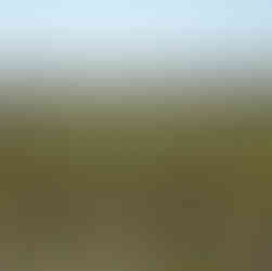 Companhia das Lezírias - O Passeio