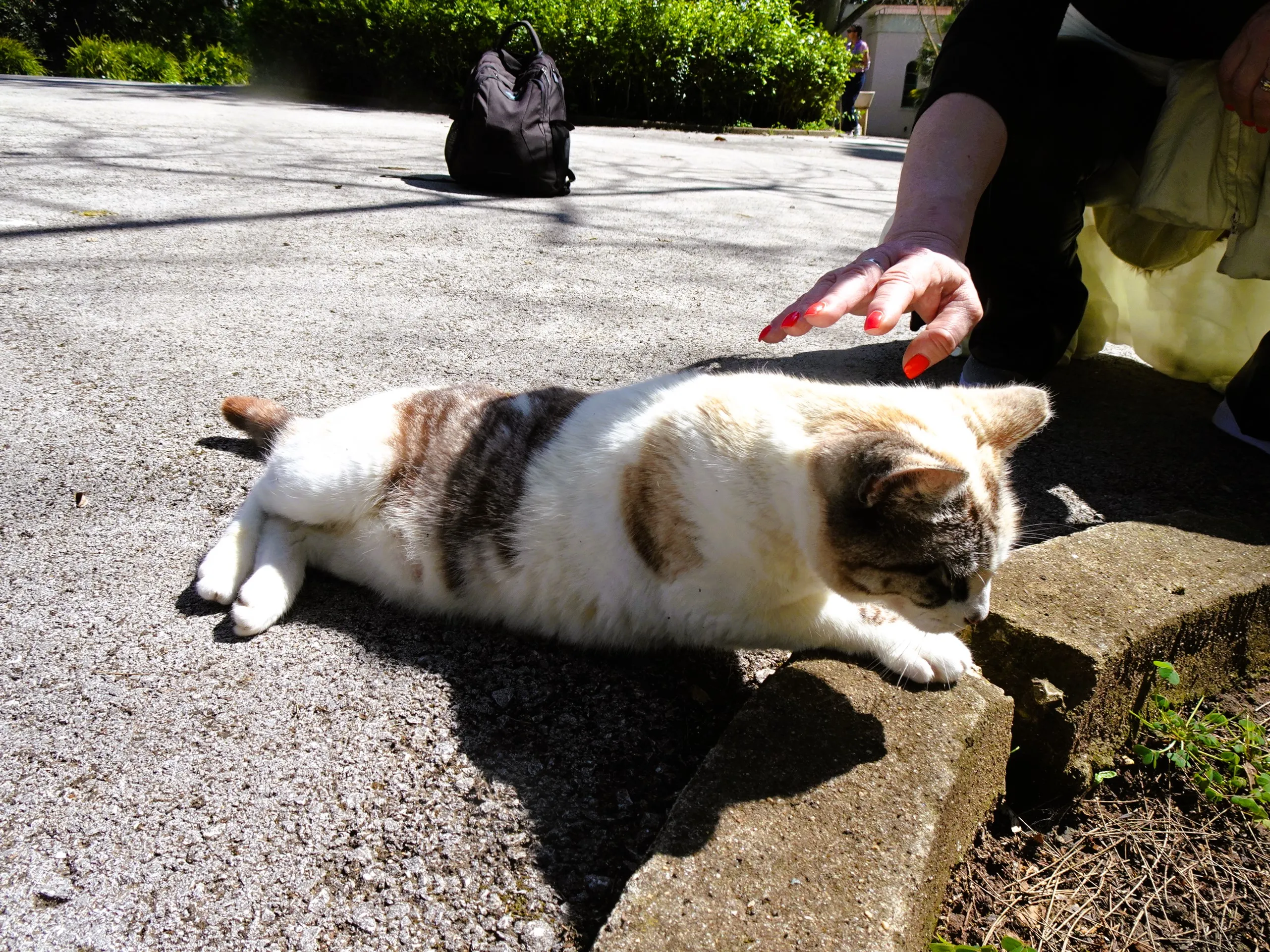 Jardim Botânico Tropical - A Visita