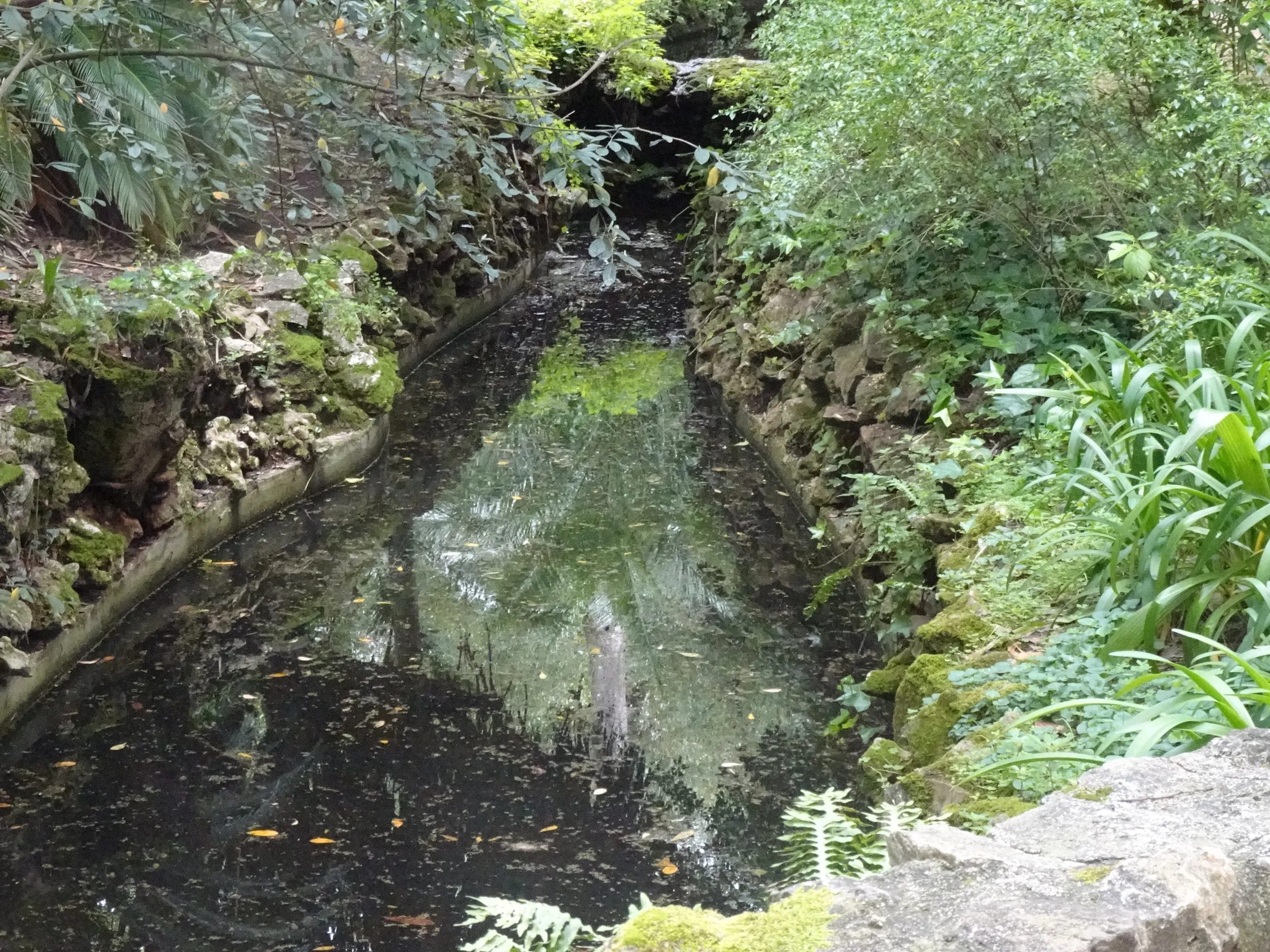 Jardim Botânico Tropical - A Visita