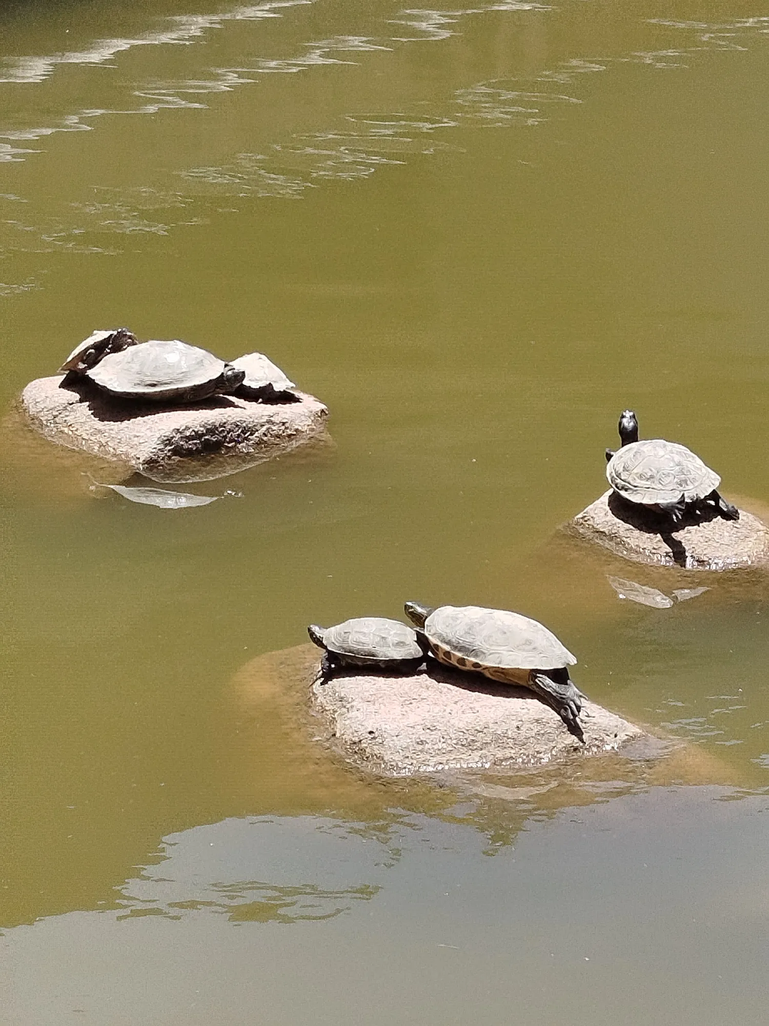 Jardins da Gulbenkian
