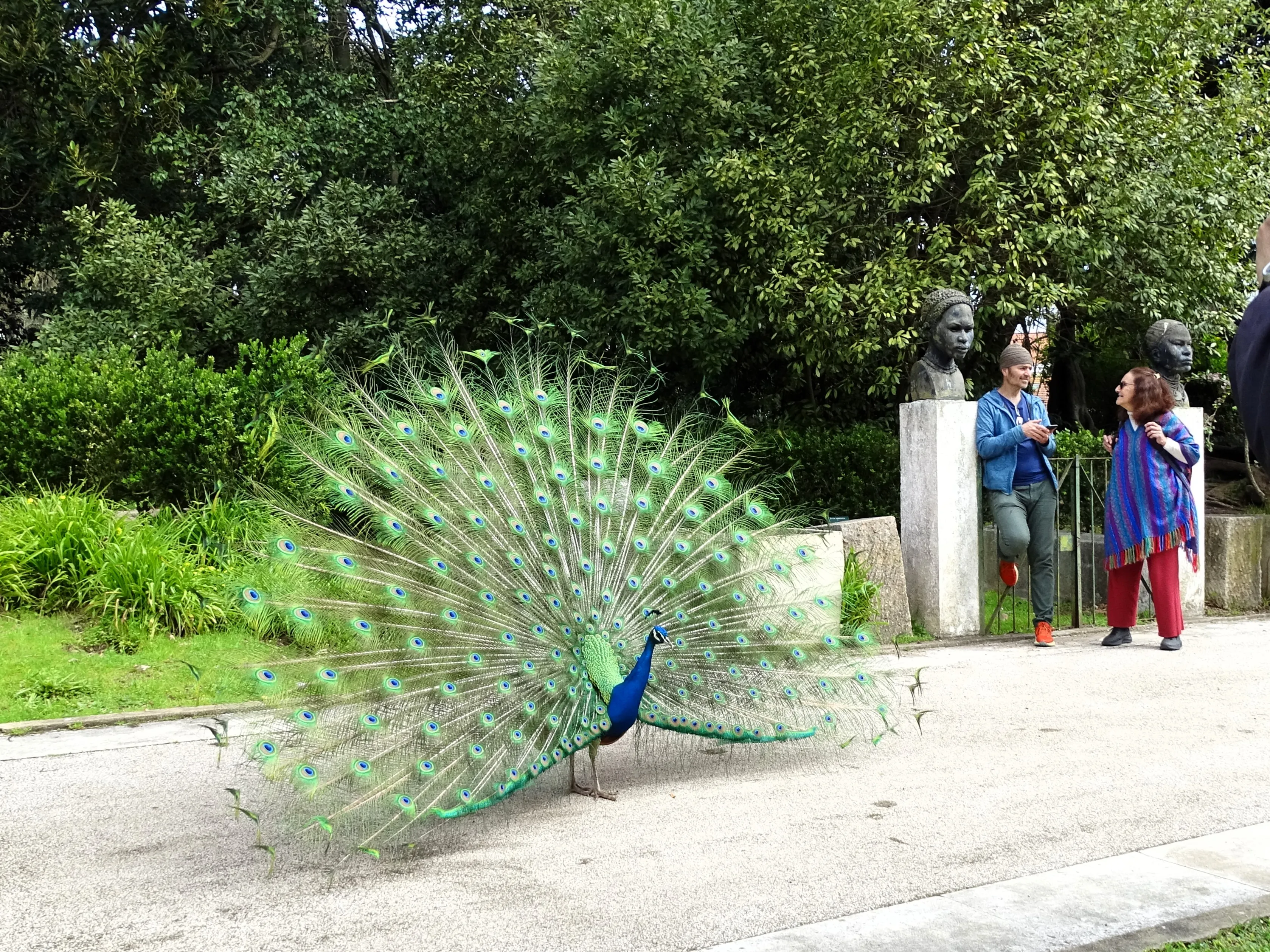 Visita ao Jardim Botânico Tropical
