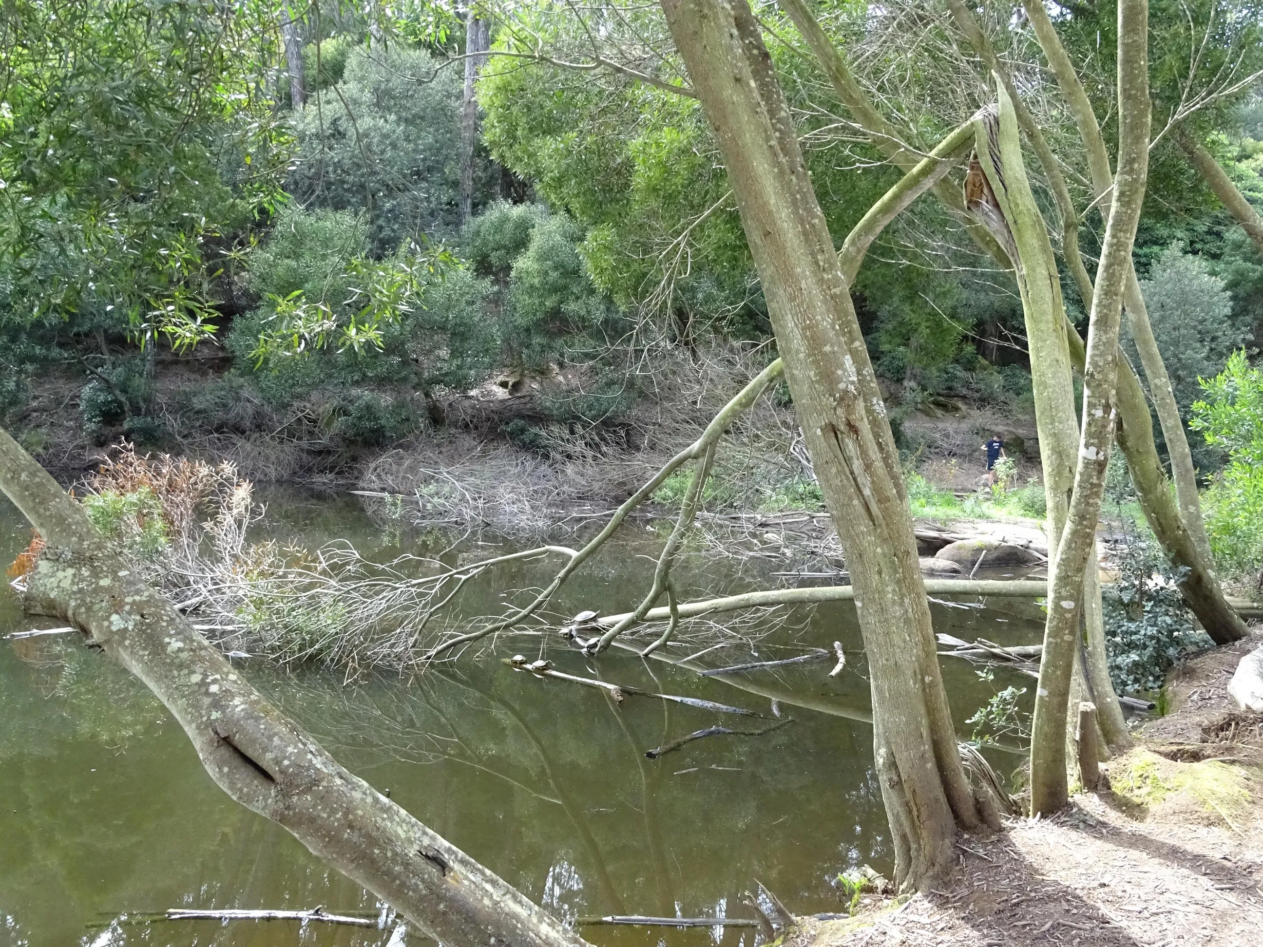 Passeio Pedestre à Lagoa Azul - SPN | 17032024