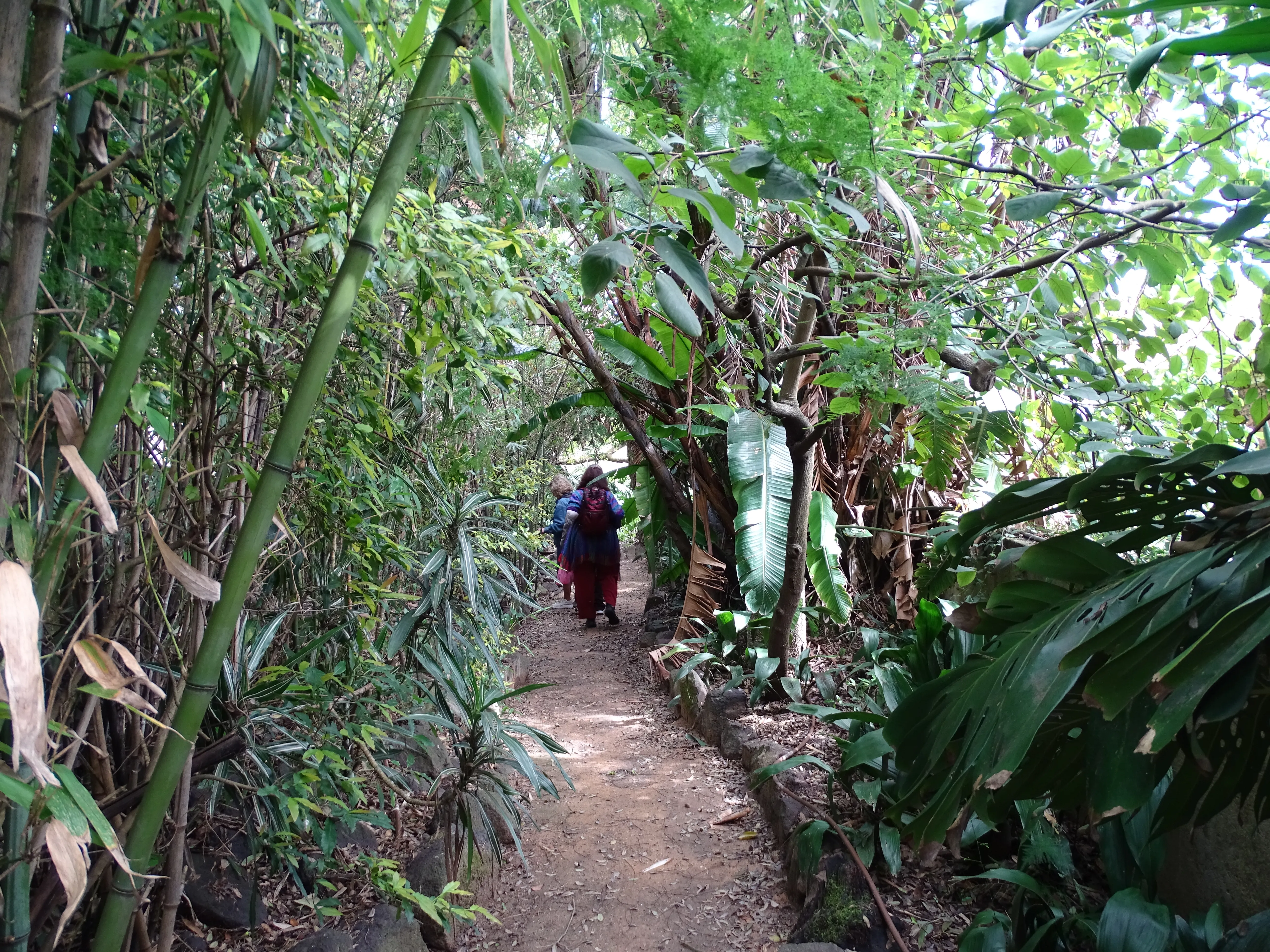 Visita ao Jardim Botânico Tropical