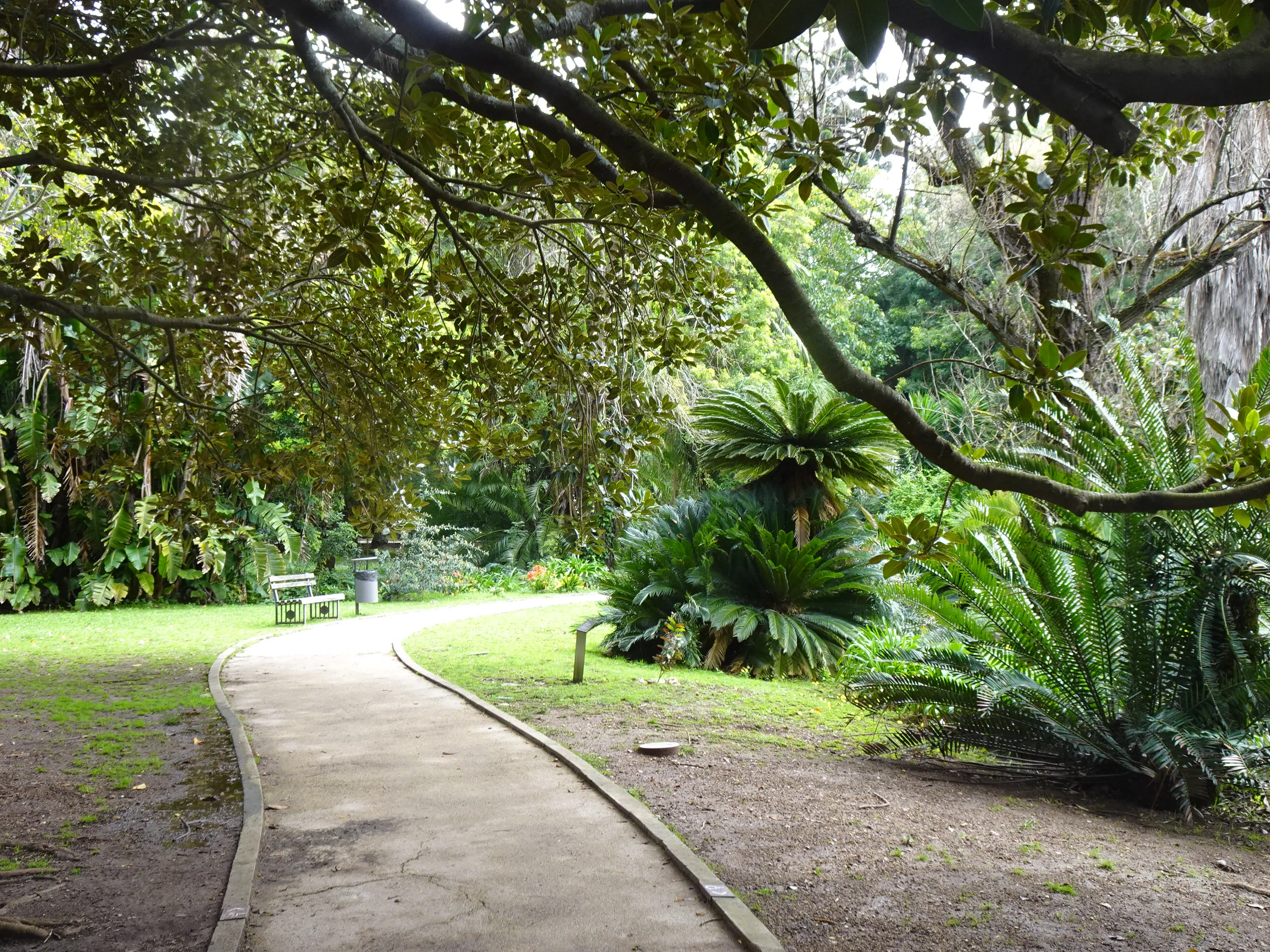 Jardim Botânico Tropical - A Visita