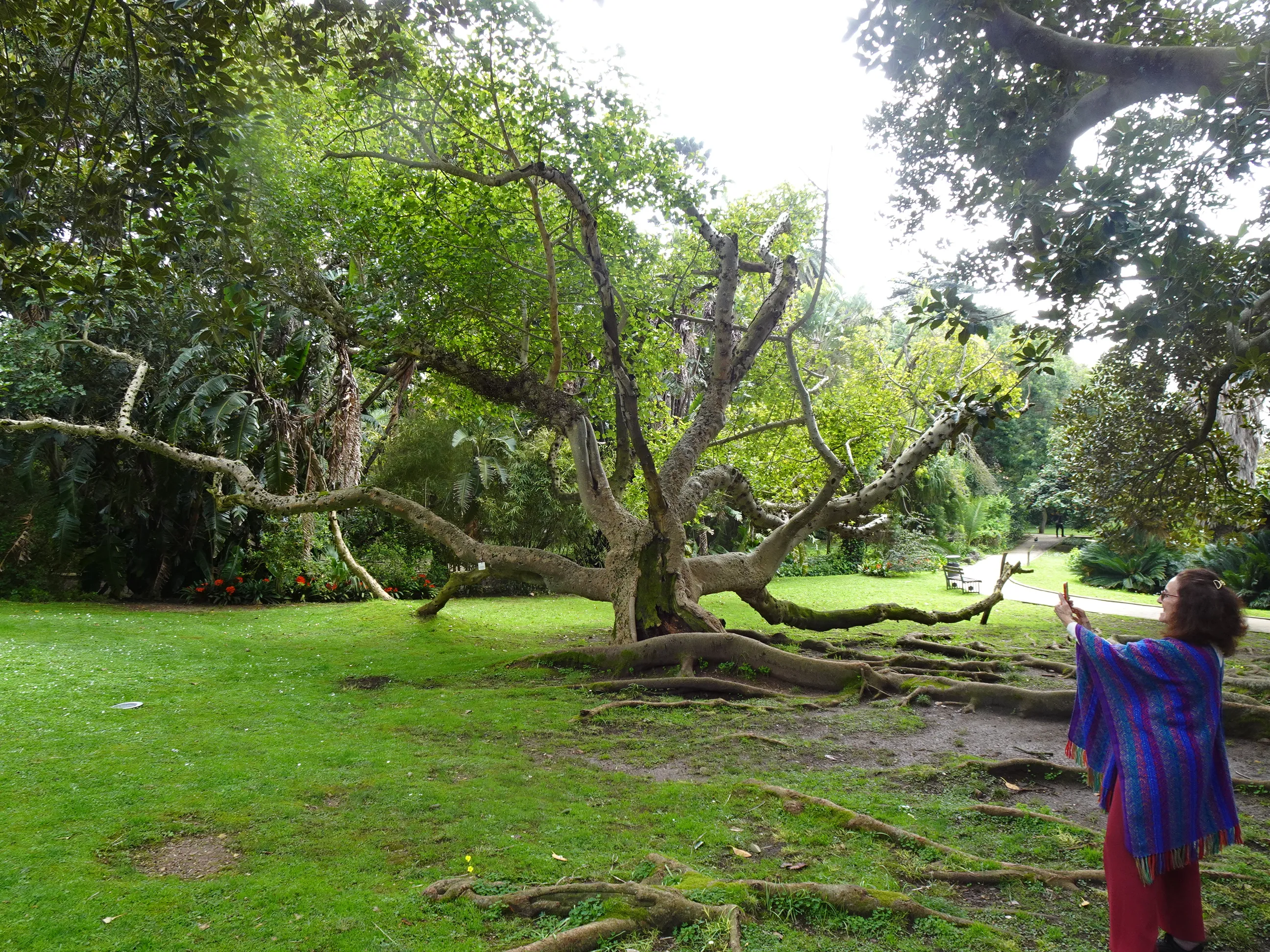 Jardim Botânico Tropical - A Visita