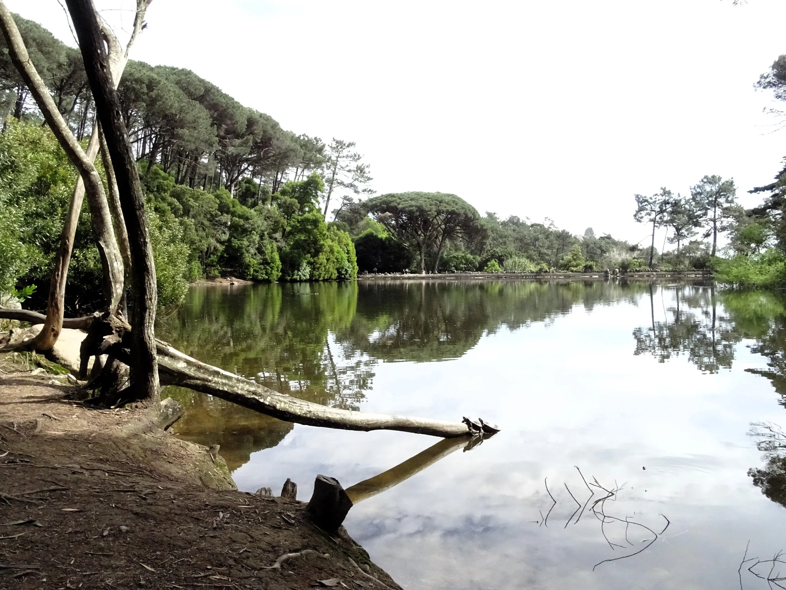 Passeio Pedestre à Lagoa Azul - SPN | 17032024