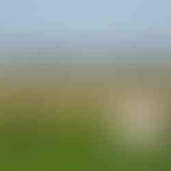 Companhia das Lezírias - O Passeio