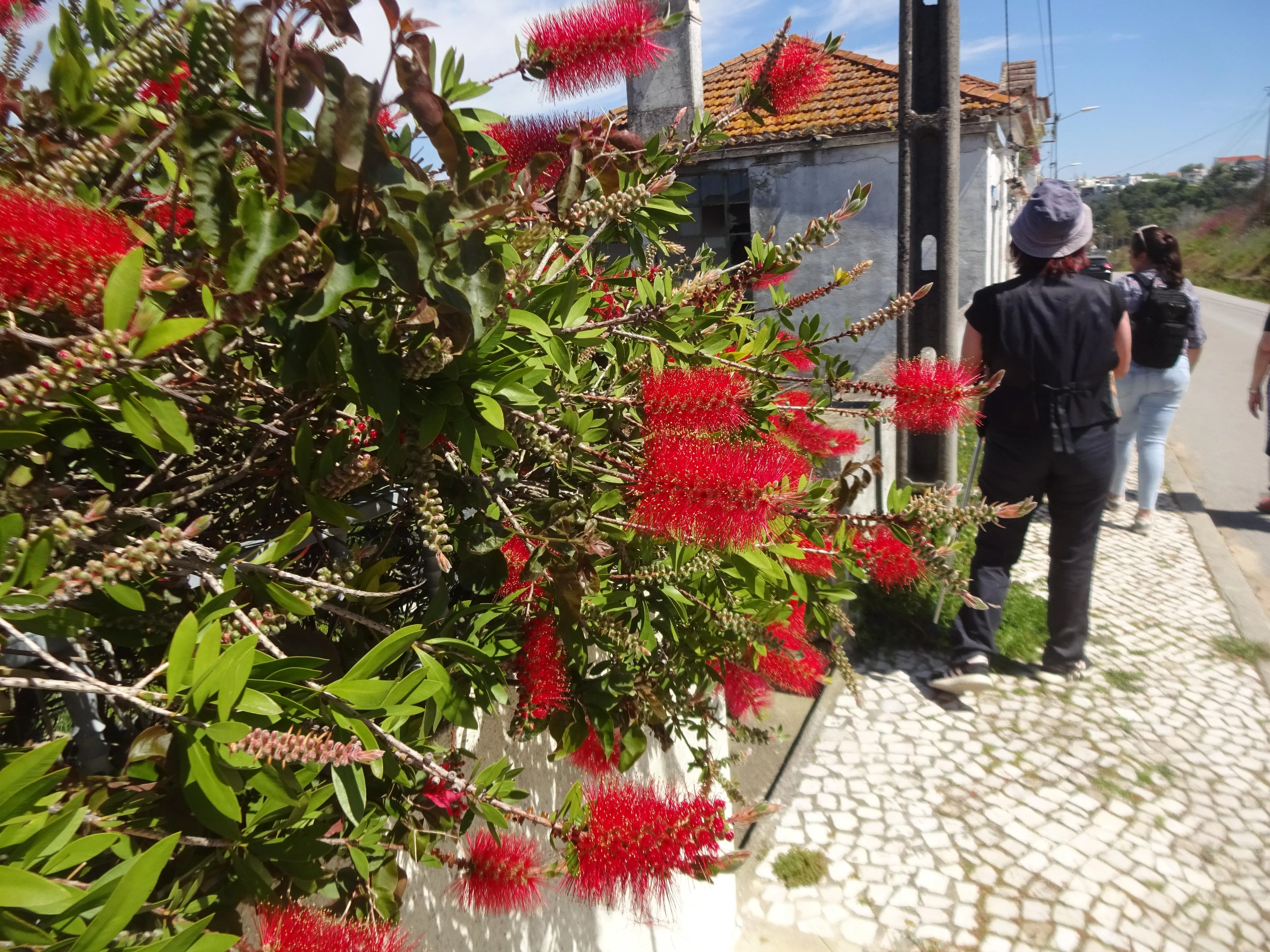 Passeio Pedestre da SPN à Serra do Louro