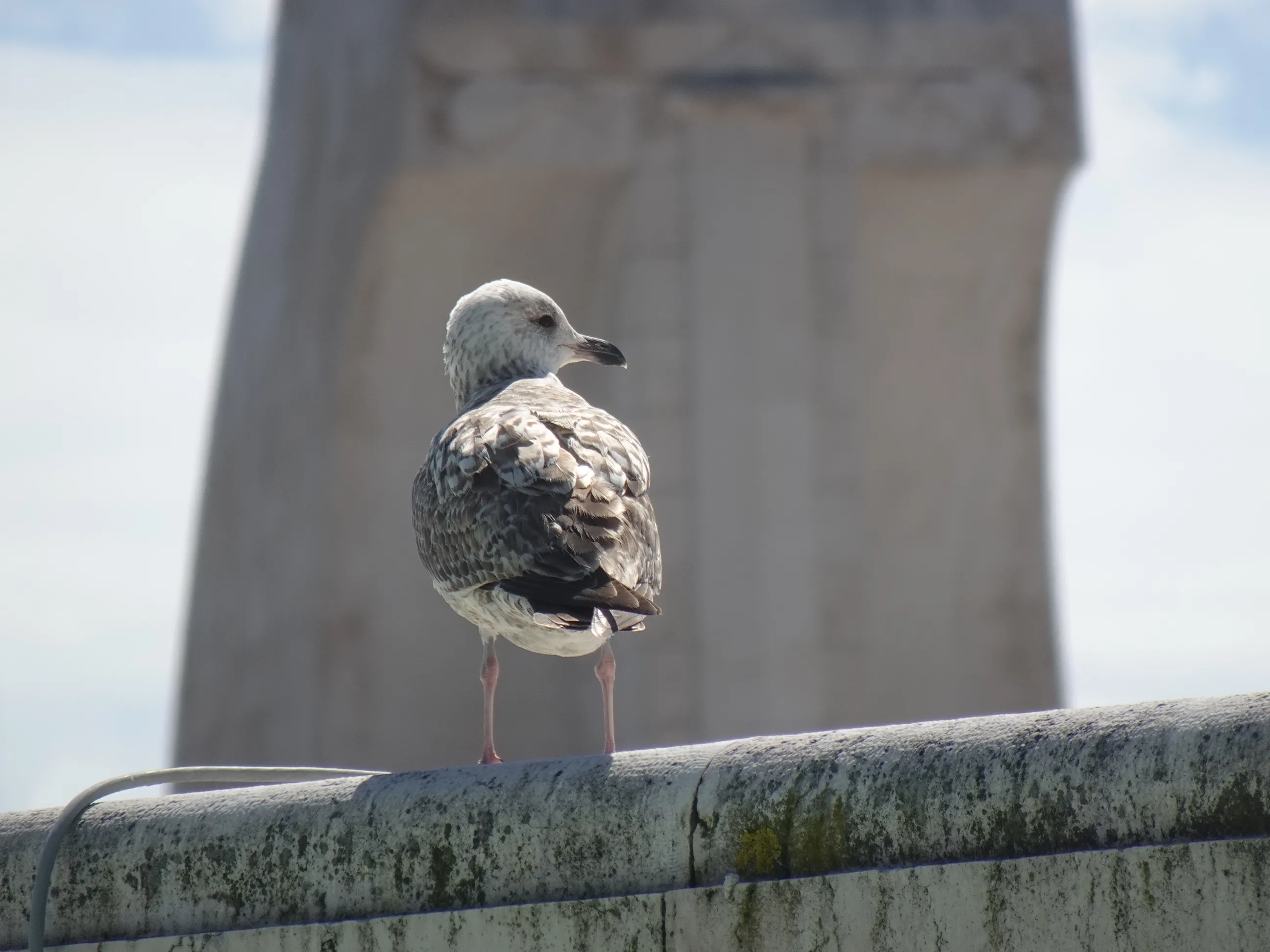Jardim Botânico Tropical - A Visita