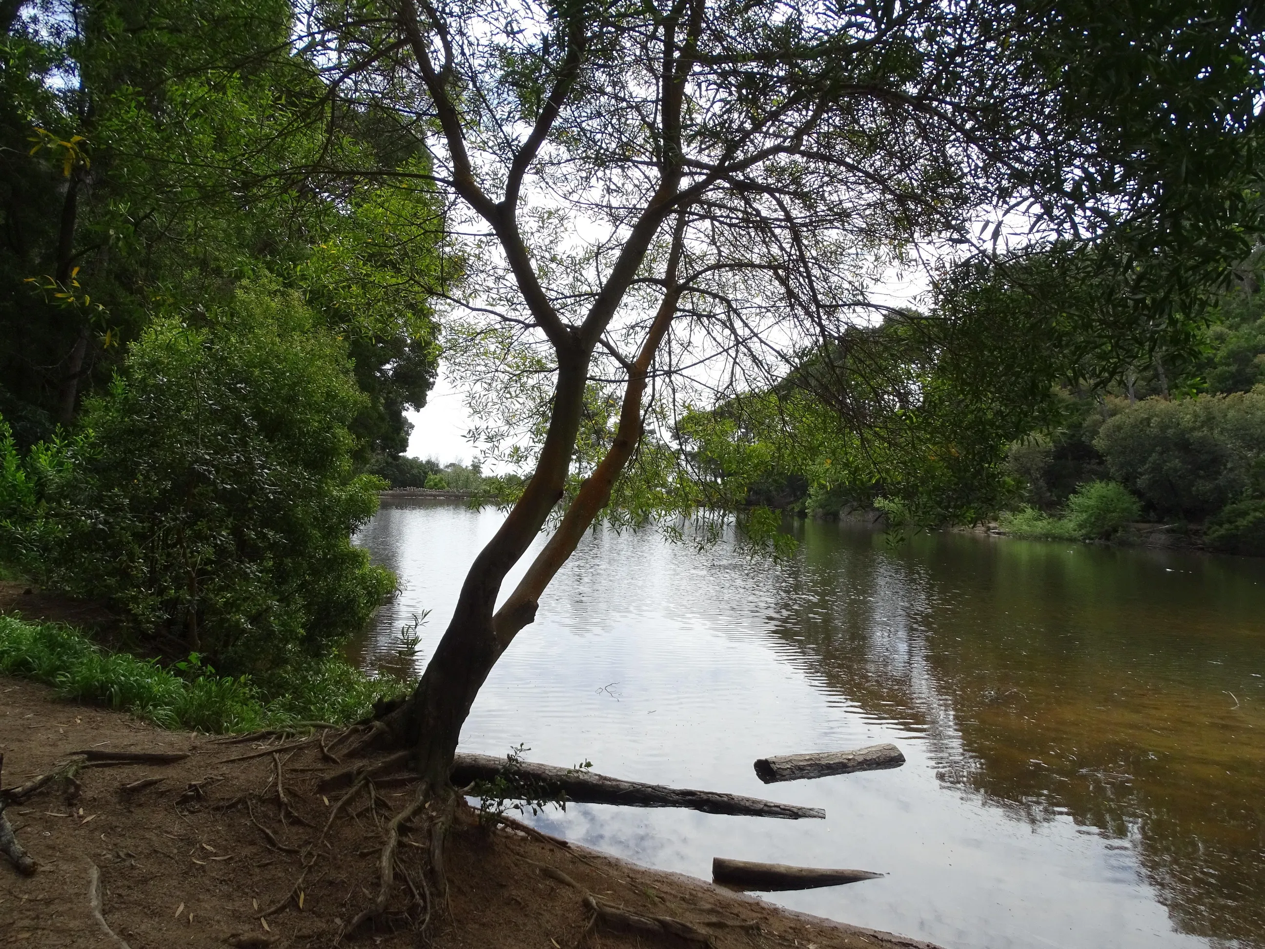 Passeio Pedestre à Lagoa Azul - SPN | 17032024