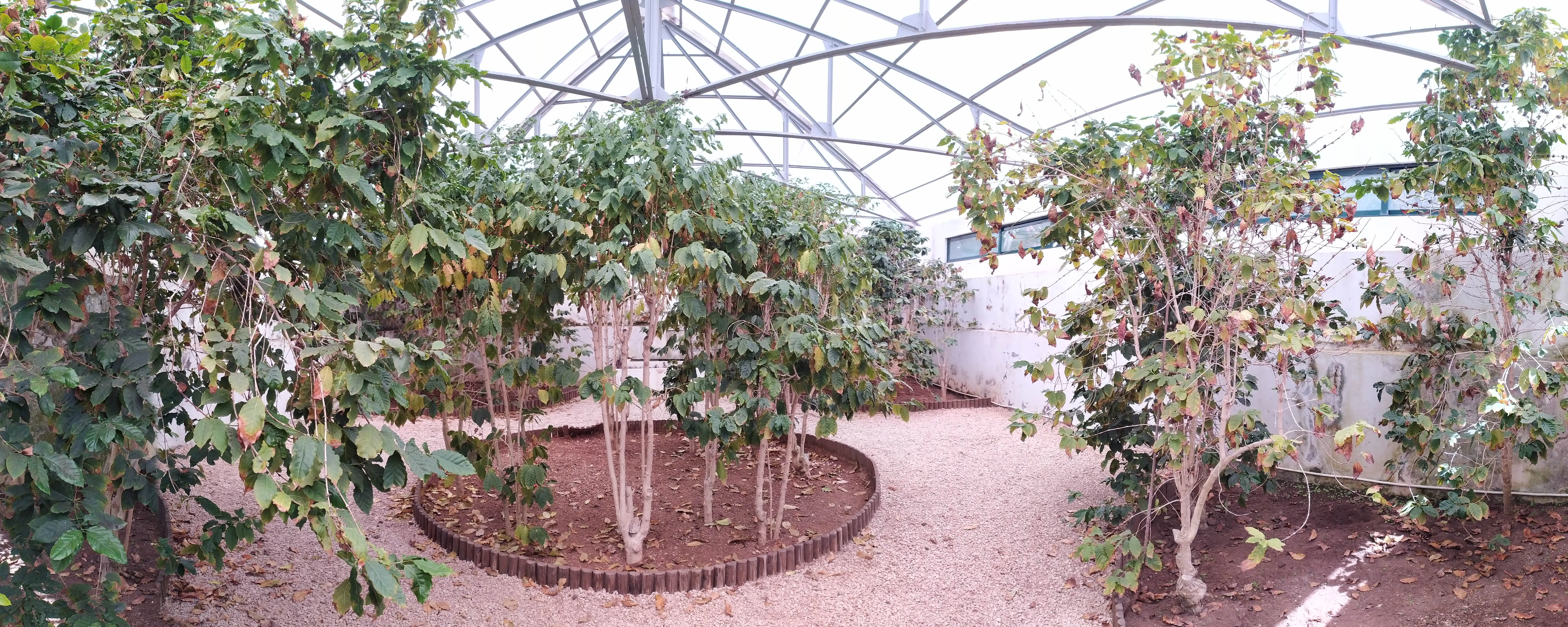 Visita ao Jardim Botânico Tropical