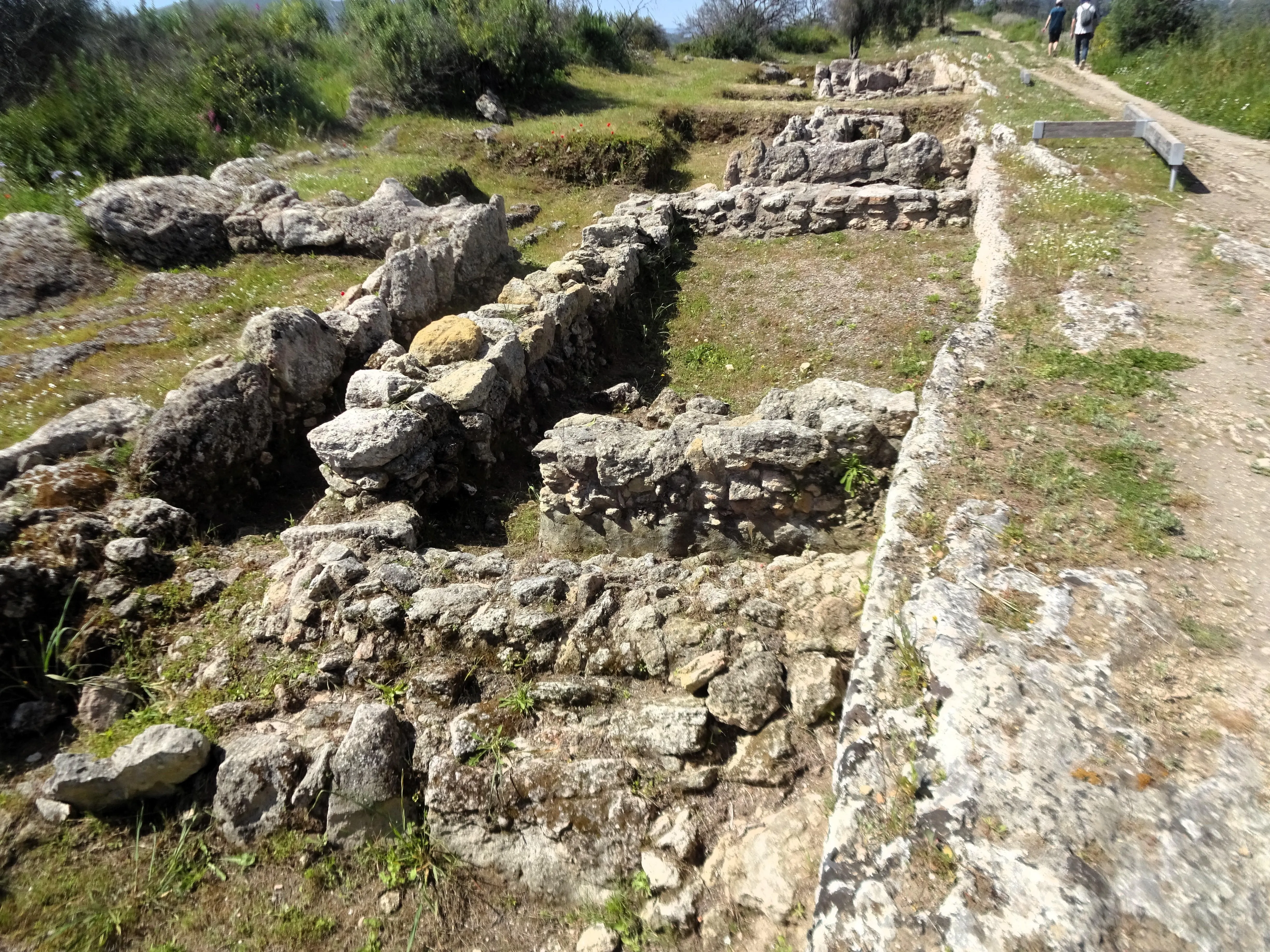 Passeio Pedestre da SPN à Serra do Louro