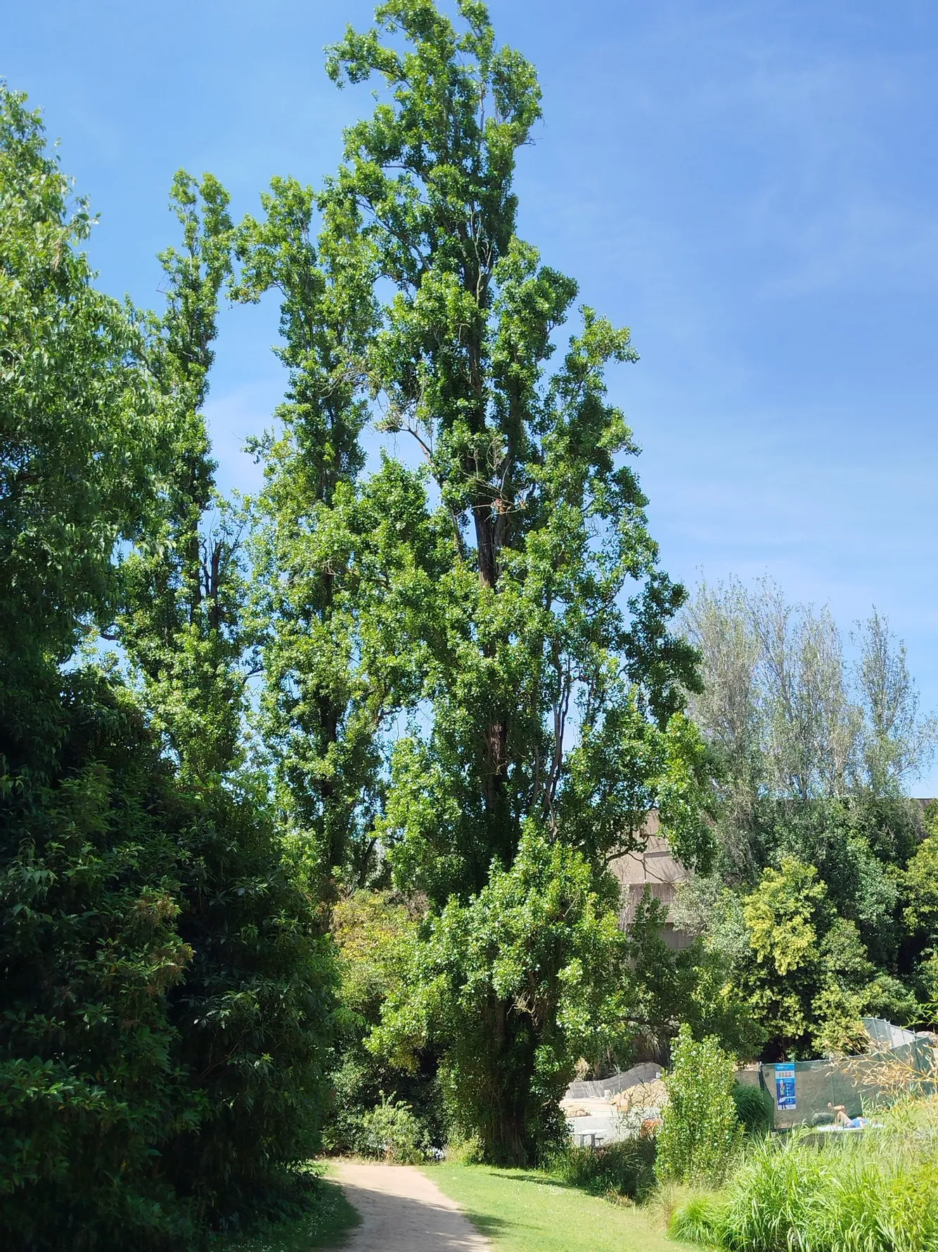 Jardins da Gulbenkian
