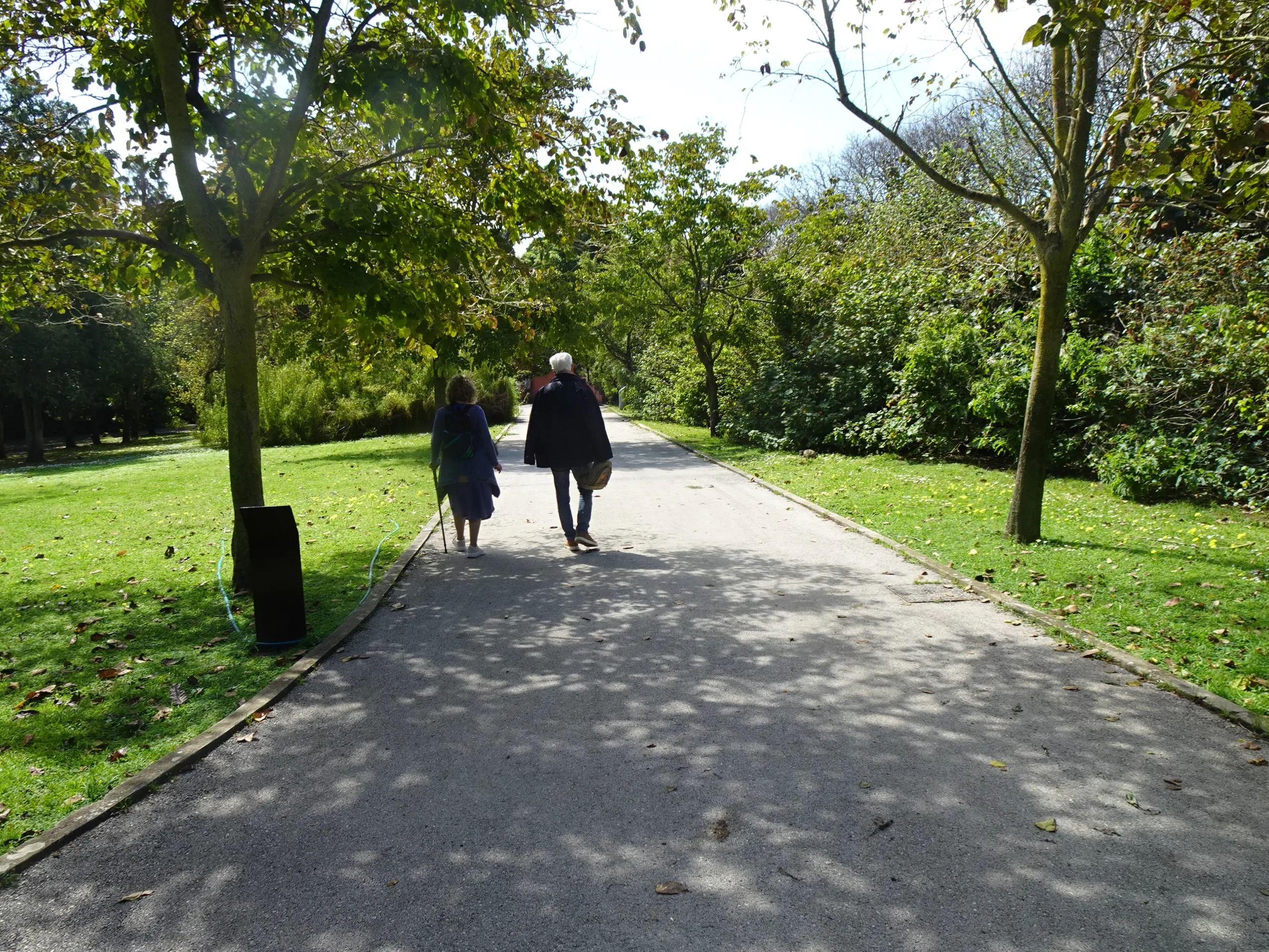 Jardim Botânico Tropical - A Visita
