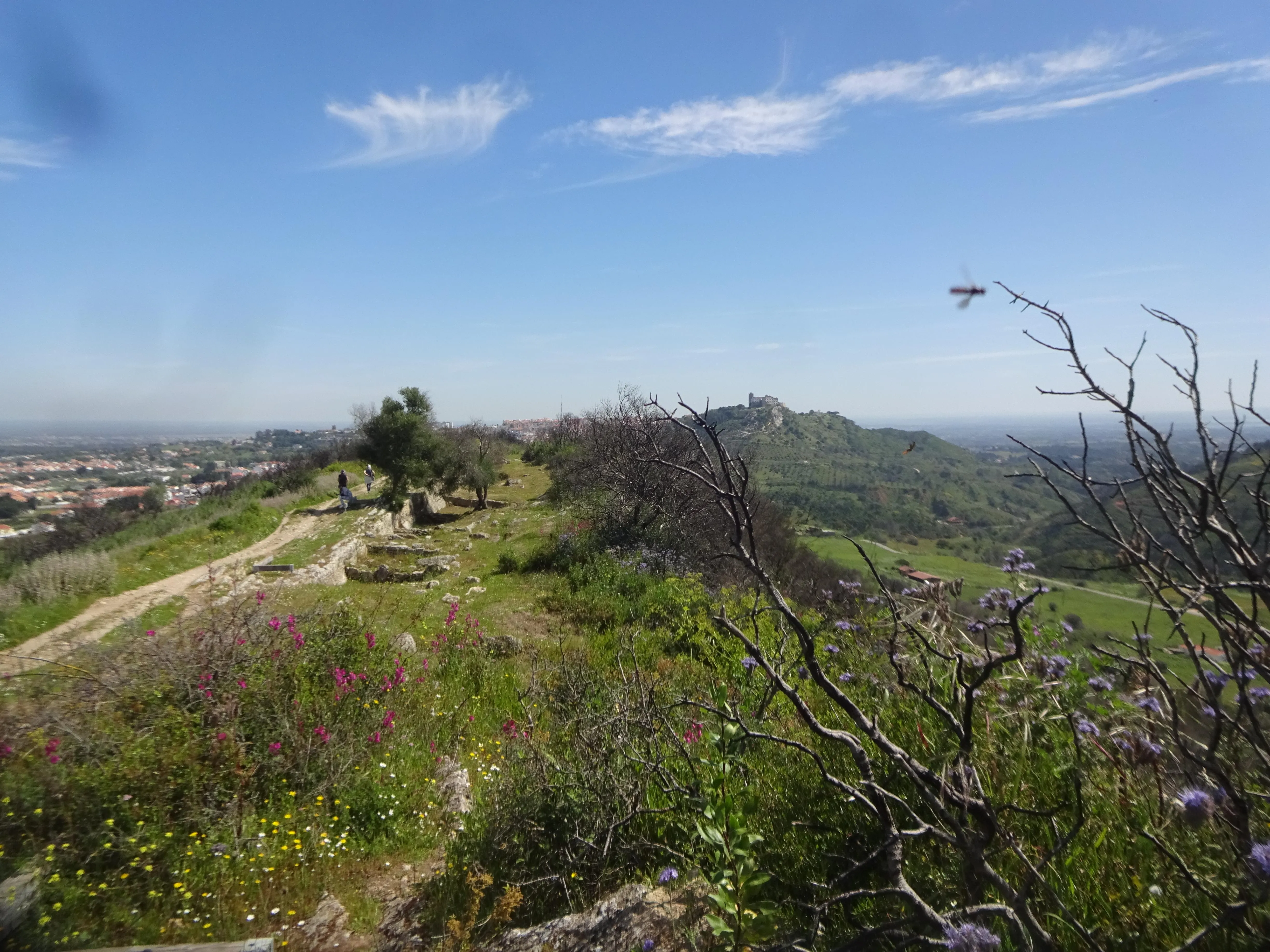 Passeio Pedestre da SPN à Serra do Louro