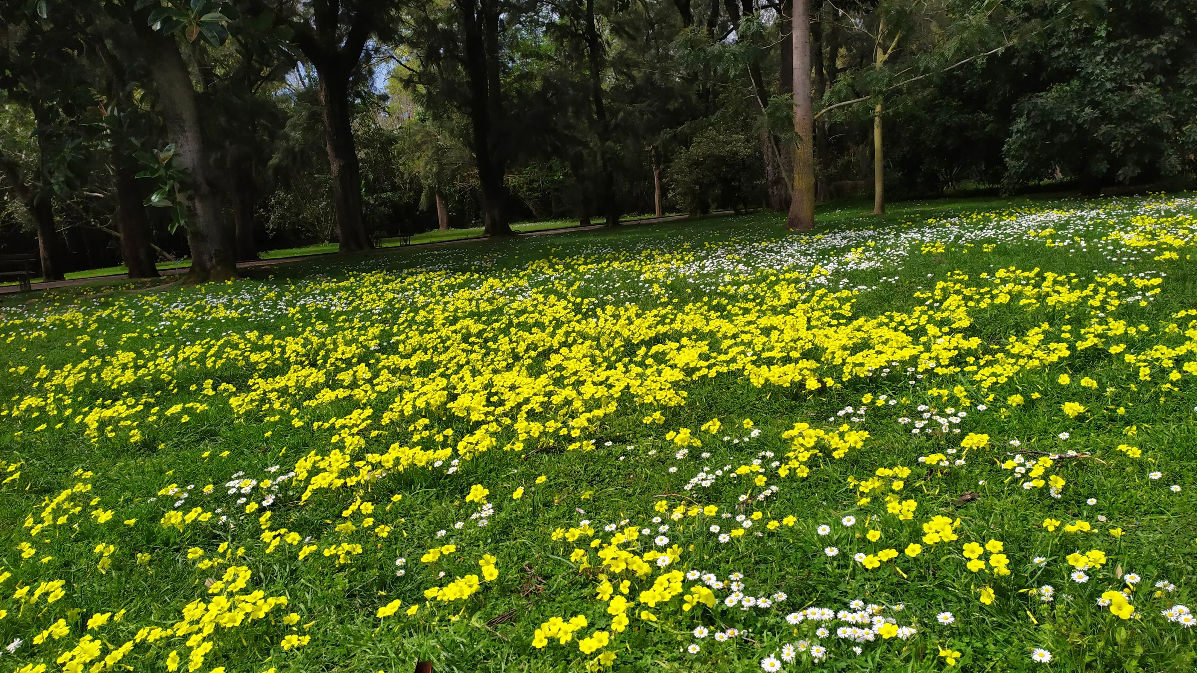 Visita ao Jardim Botânico Tropical
