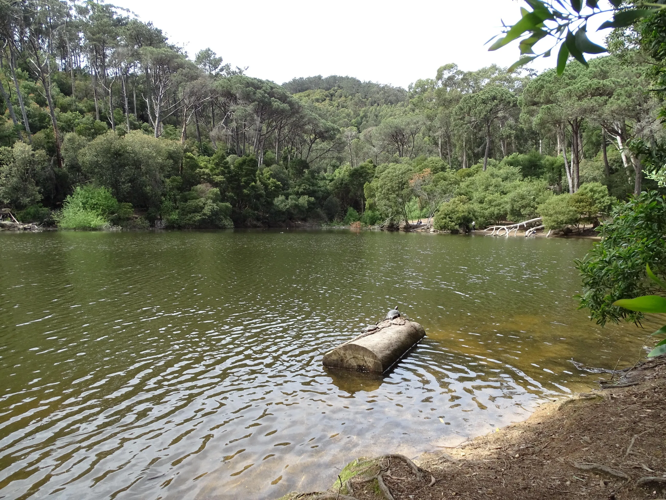 Passeio Pedestre à Lagoa Azul - SPN | 17032024