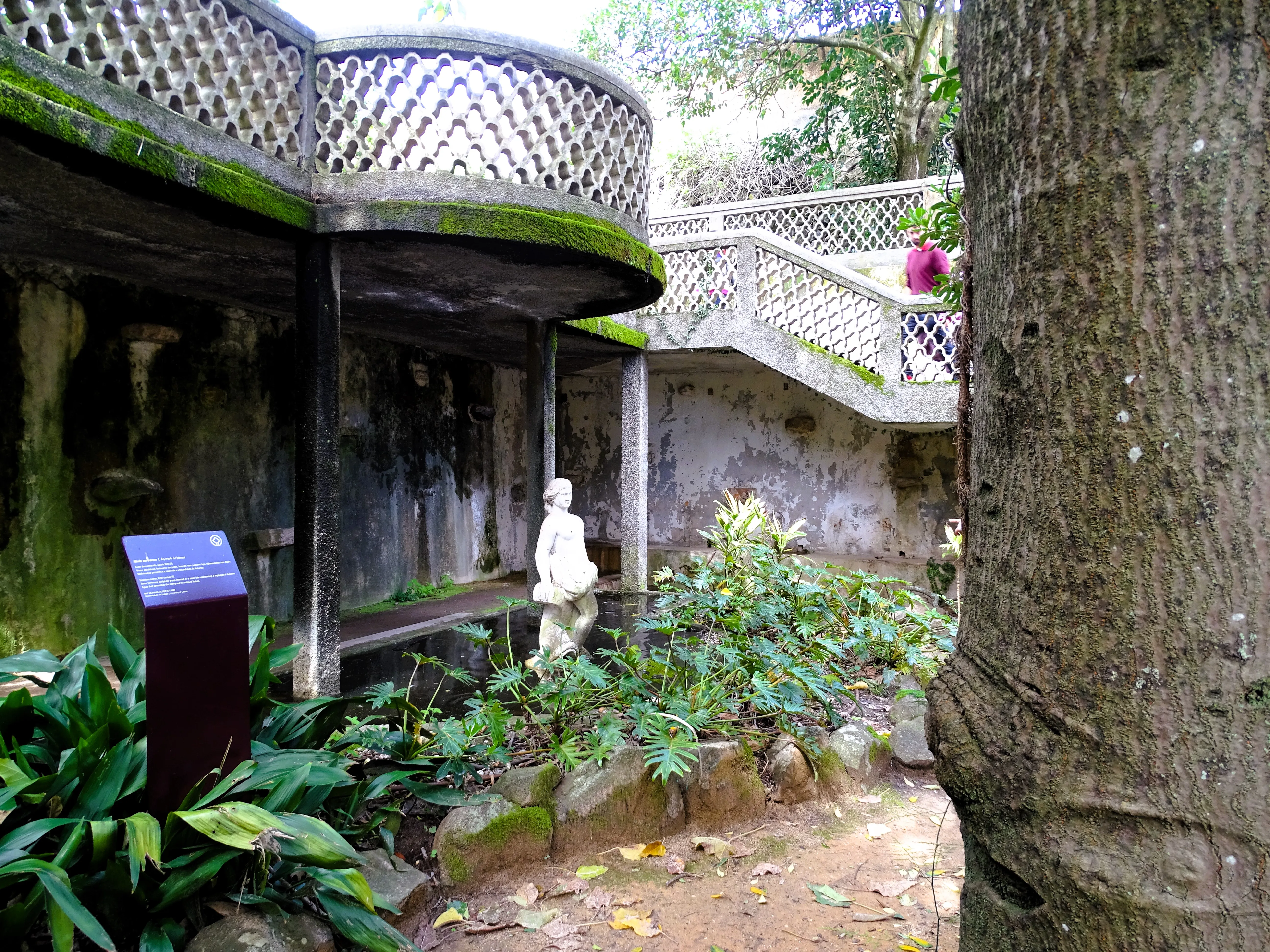 Visita ao Jardim Botânico Tropical