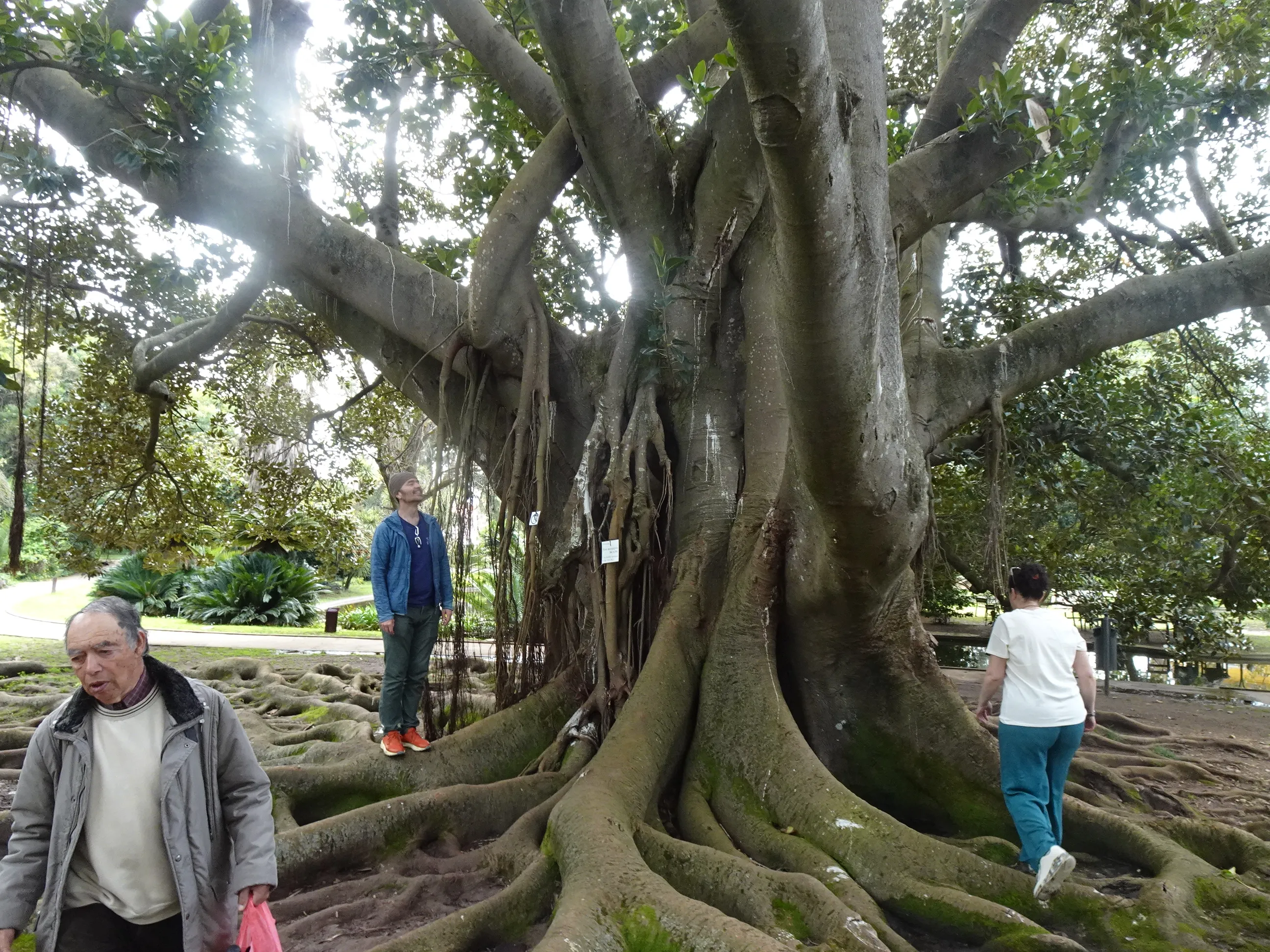 Jardim Botânico Tropical - A Visita