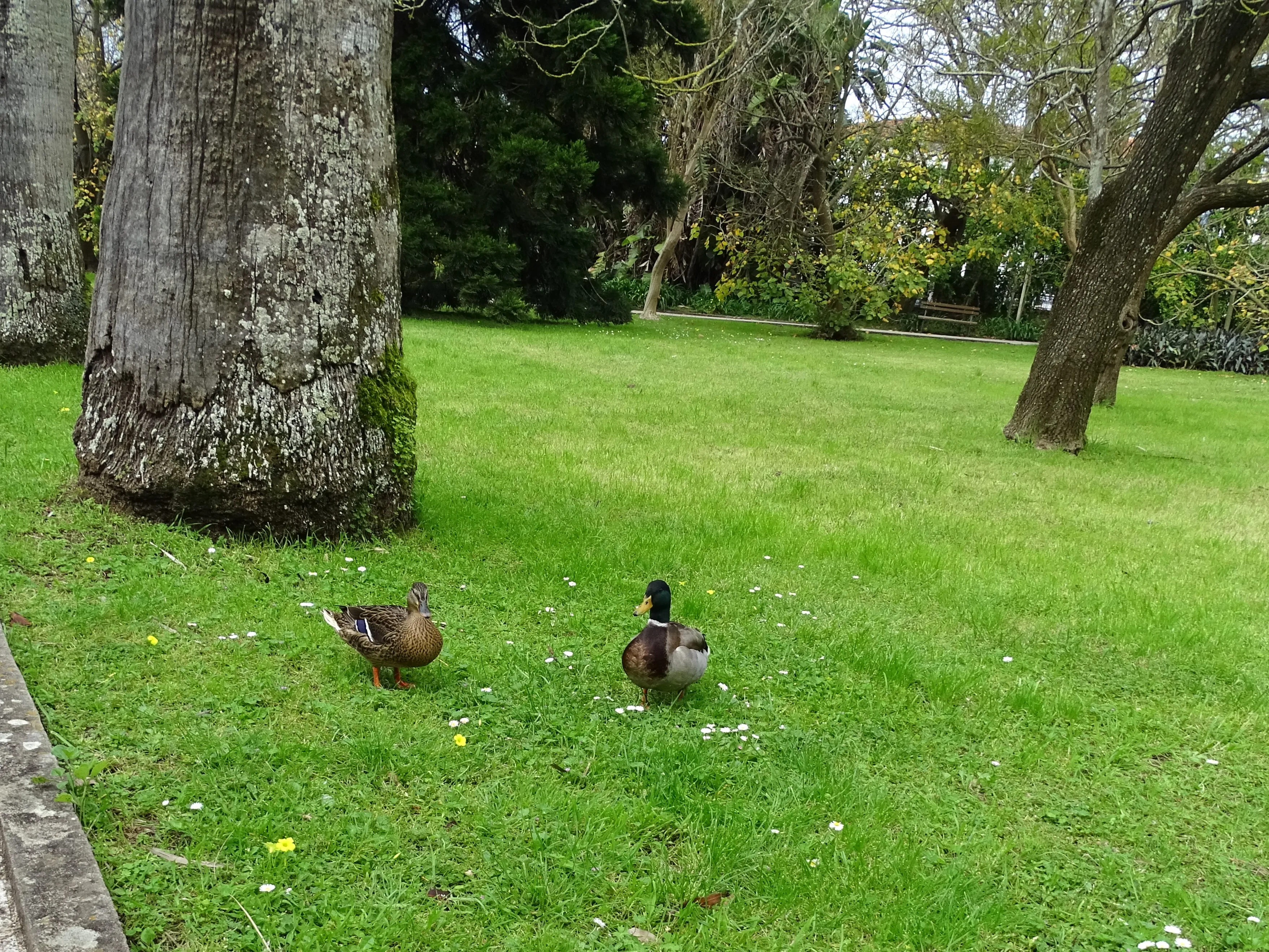 Visita ao Jardim Botânico Tropical