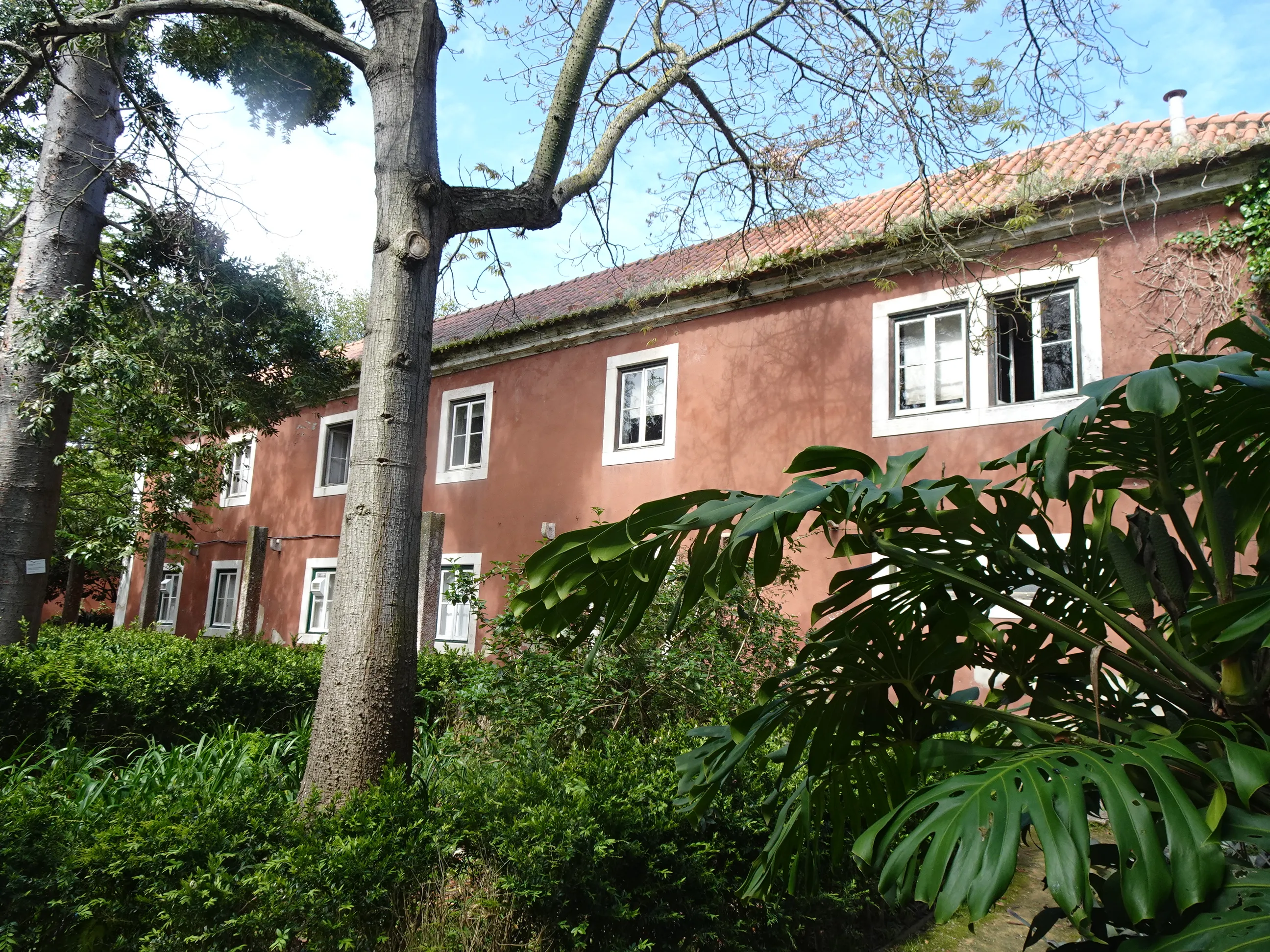 Jardim Botânico Tropical - A Visita