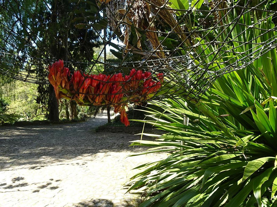 Monserrate - Sintra Parque e Palácio - Passeio Pedestre 2025