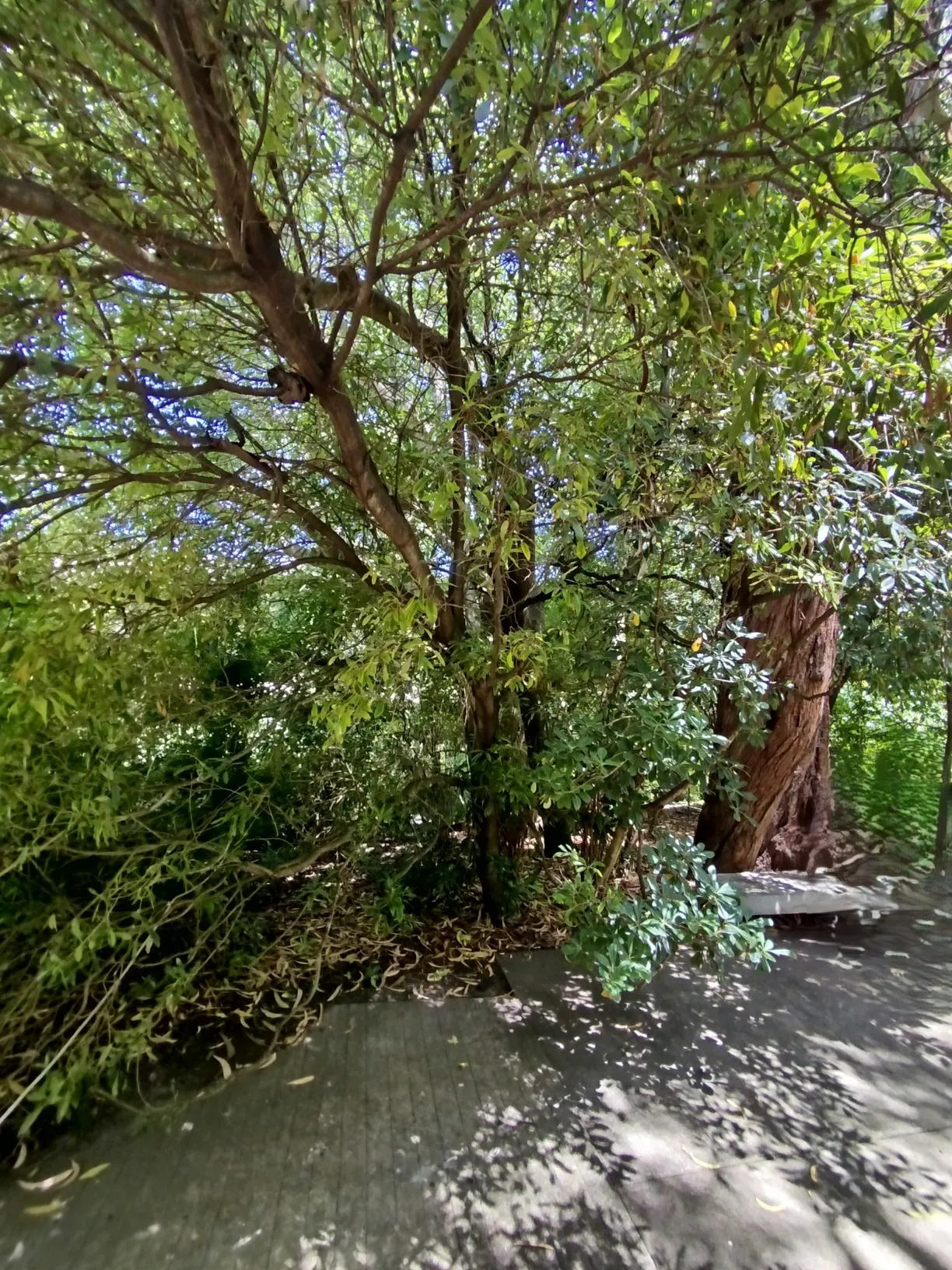 Jardins da Gulbenkian