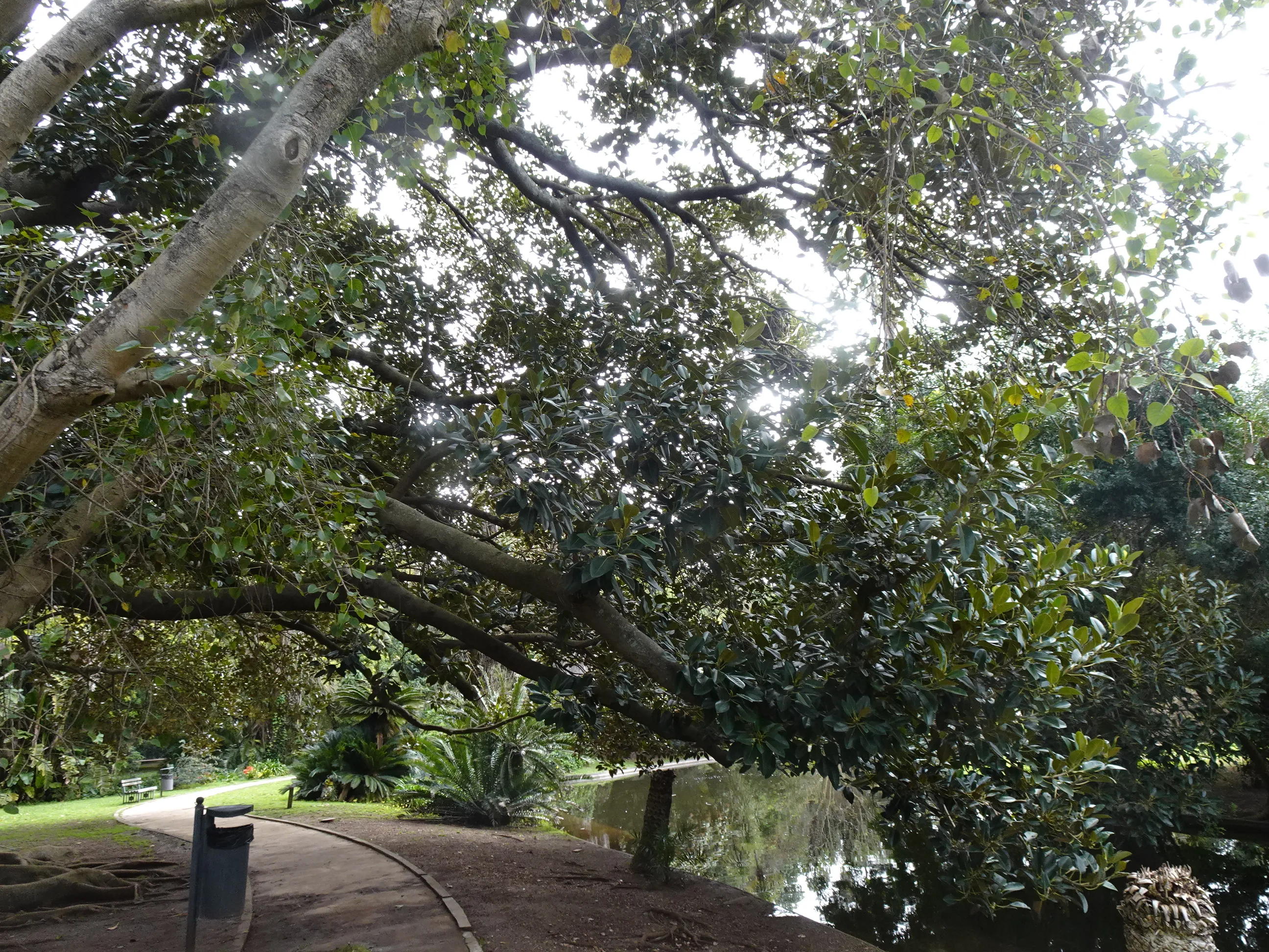 Jardim Botânico Tropical - A Visita