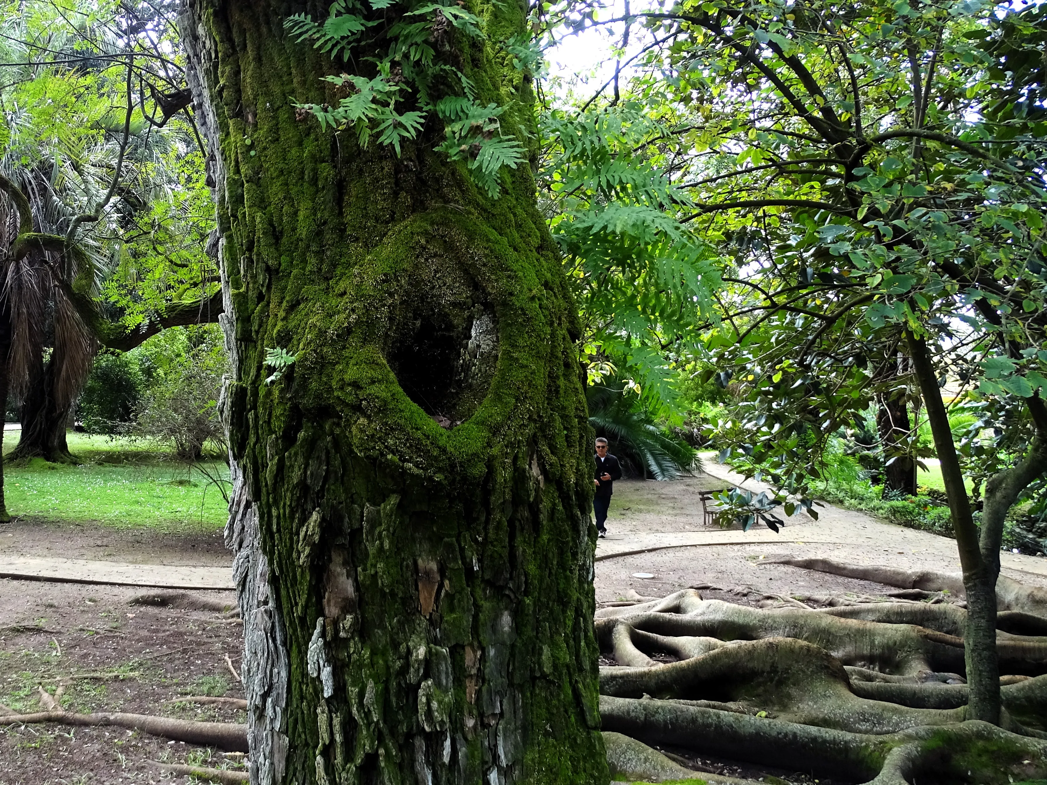 Visita ao Jardim Botânico Tropical