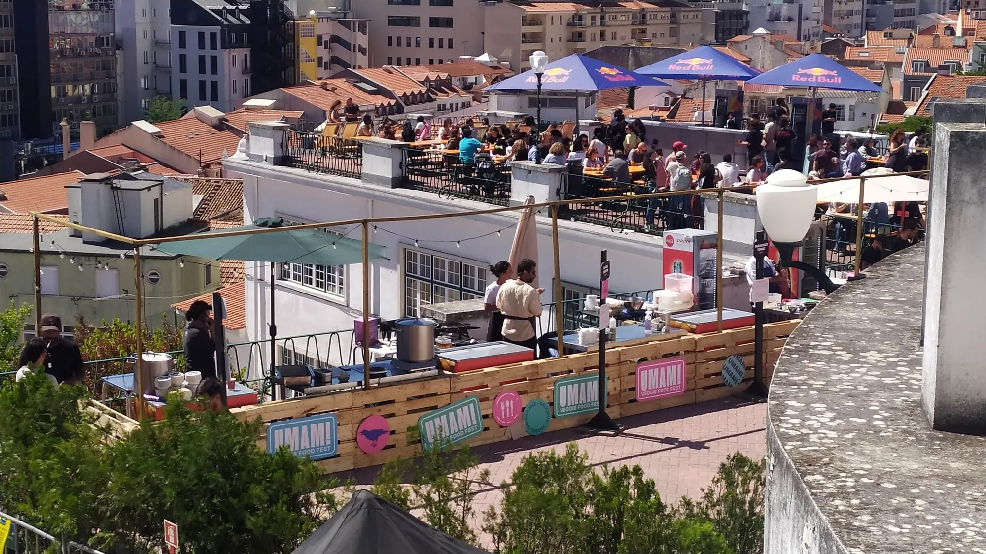 A SPN no Festival UMAMI – Veggie Food Fest 2026