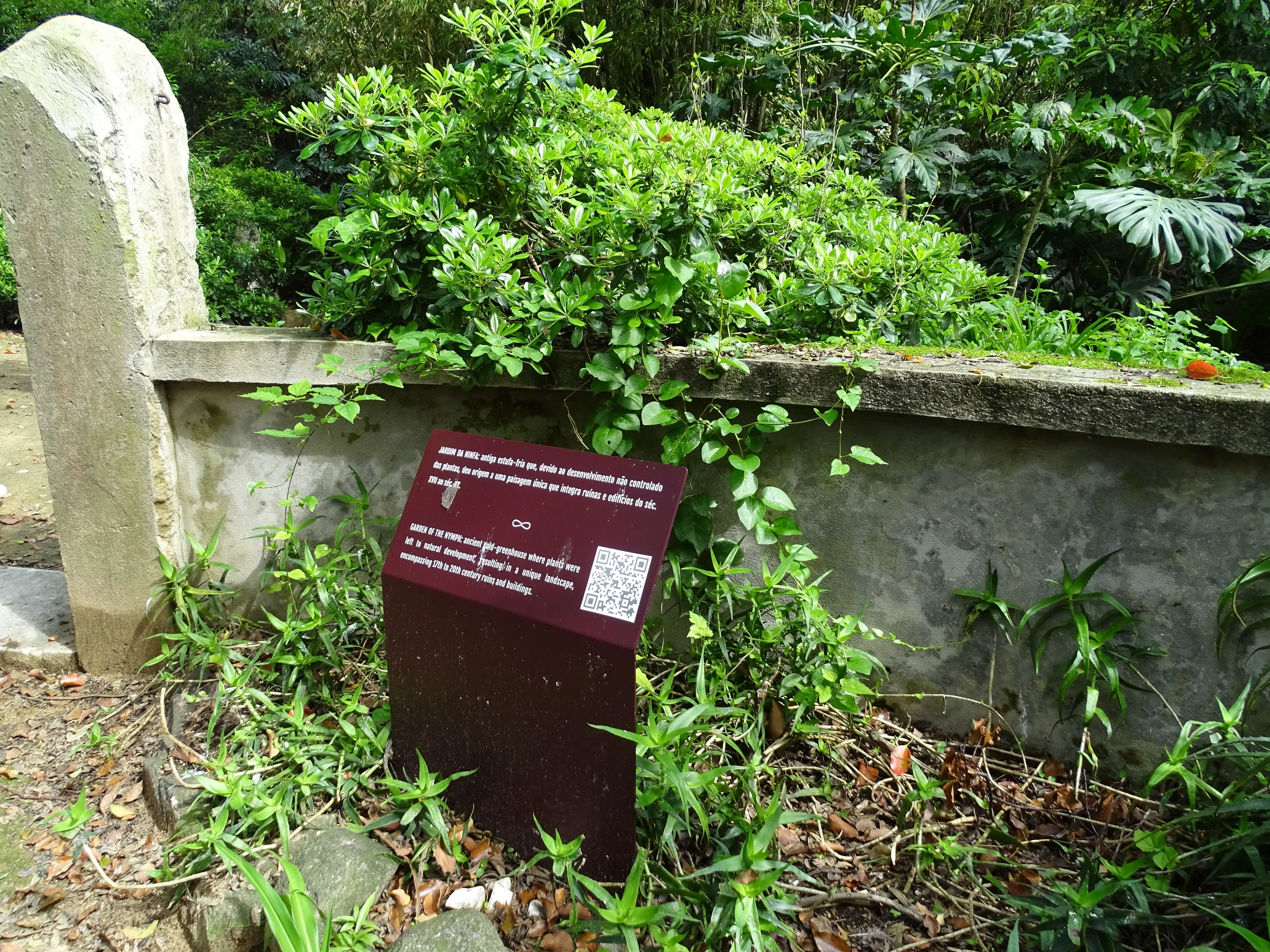 Visita ao Jardim Botânico Tropical