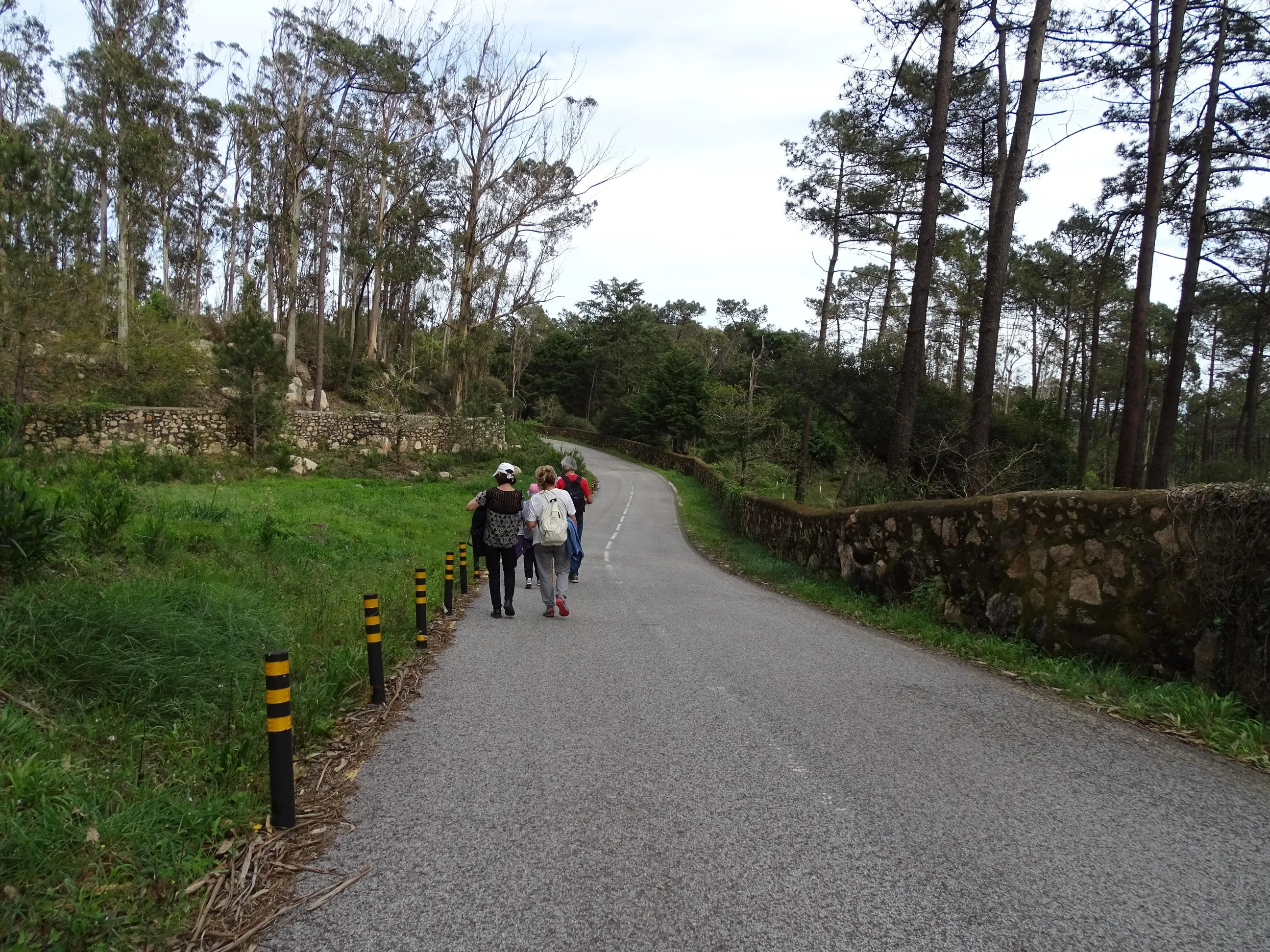 Passeio Pedestre à Lagoa Azul - SPN | 17032024