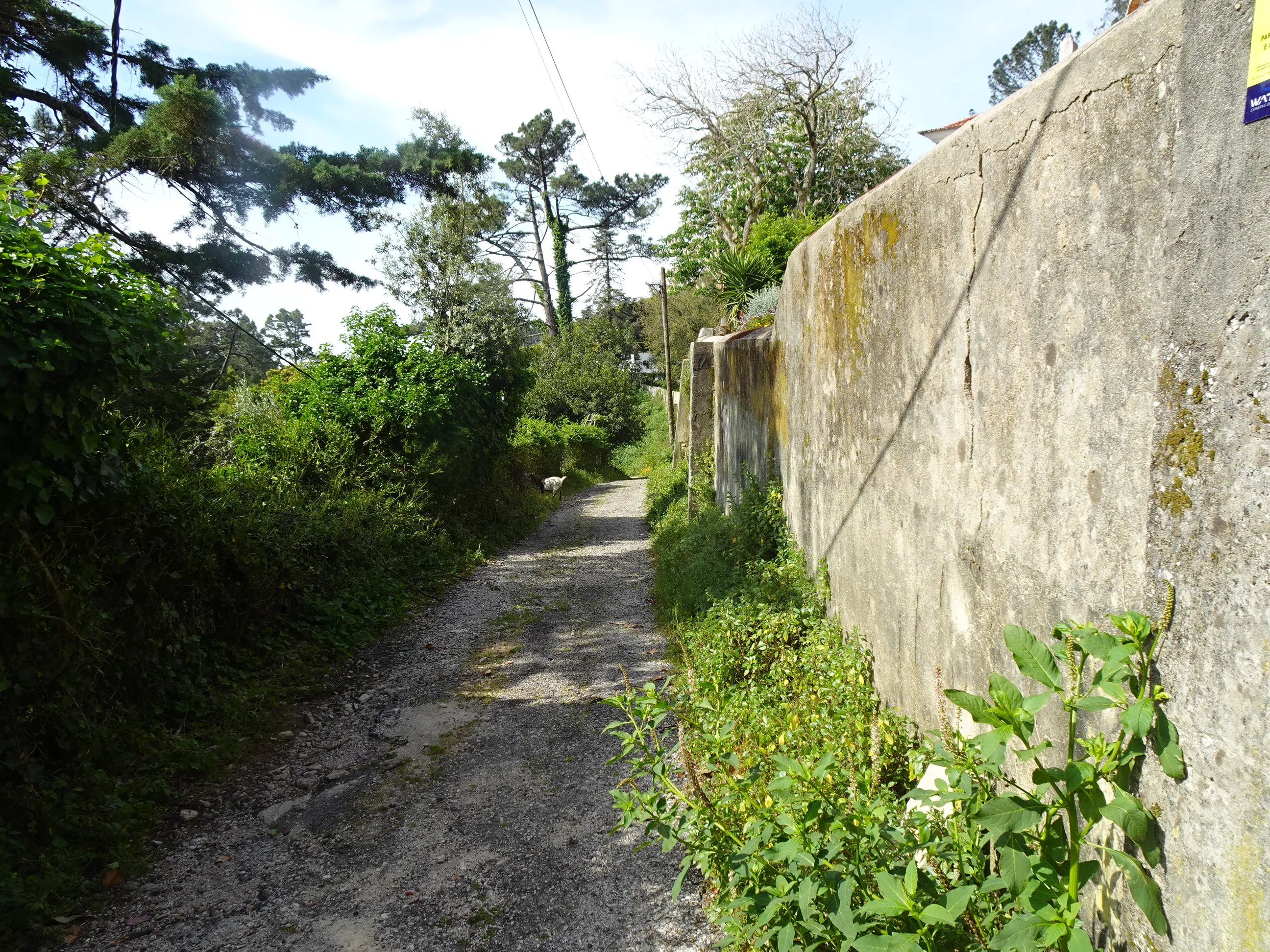 Passeio Pedestre à Lagoa Azul
