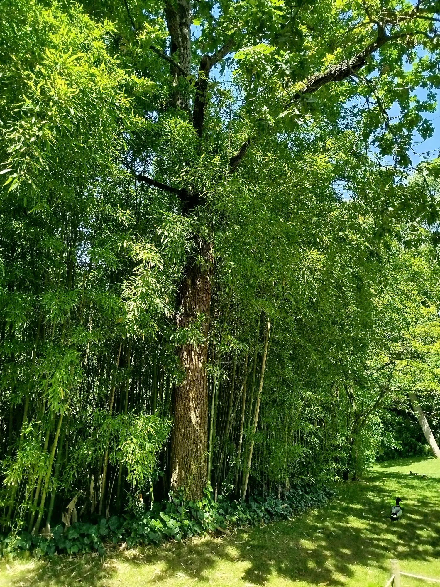 Jardins da Gulbenkian
