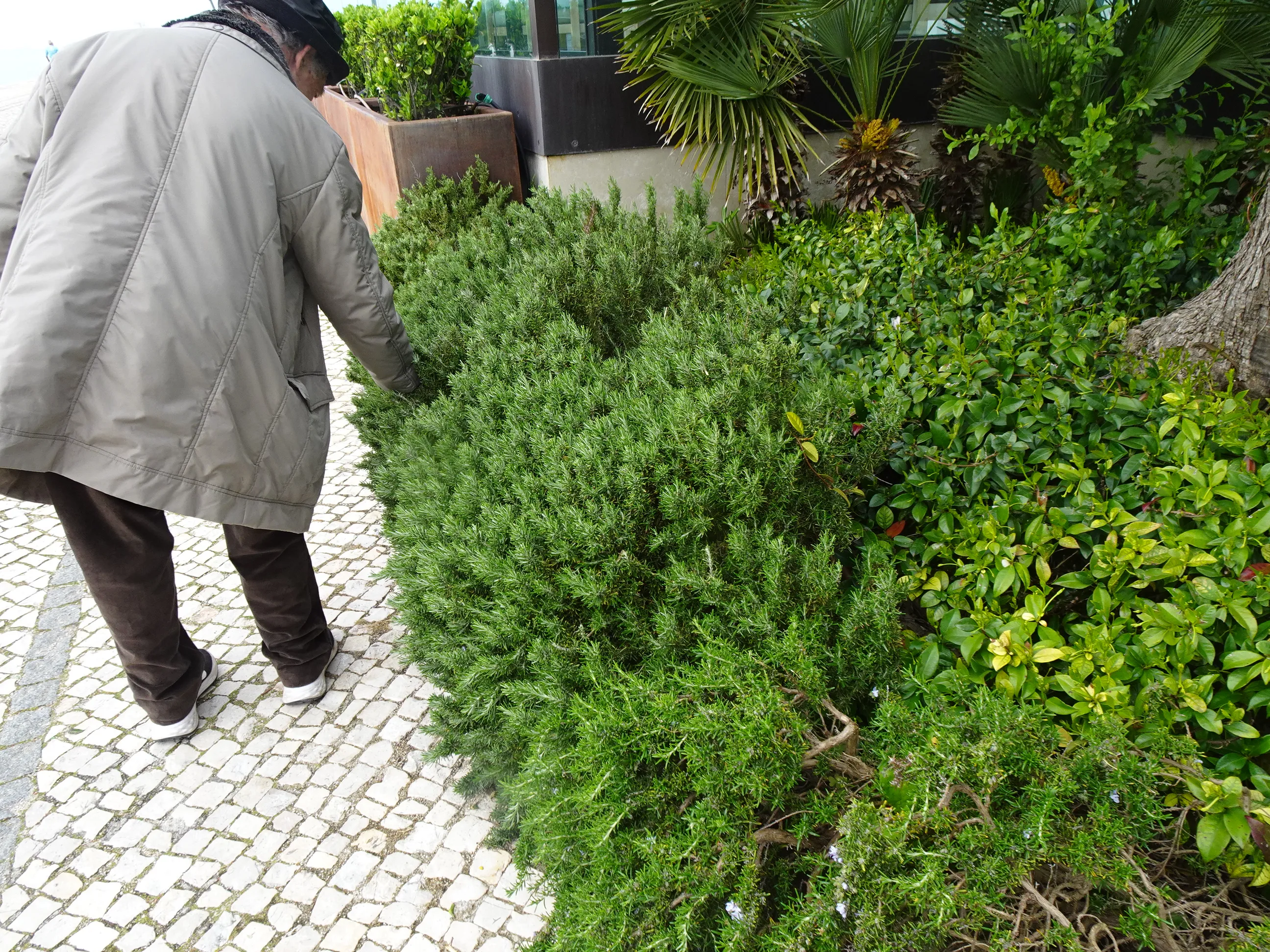 De Alcântara-Mar ao Jardim Tropical em Belém