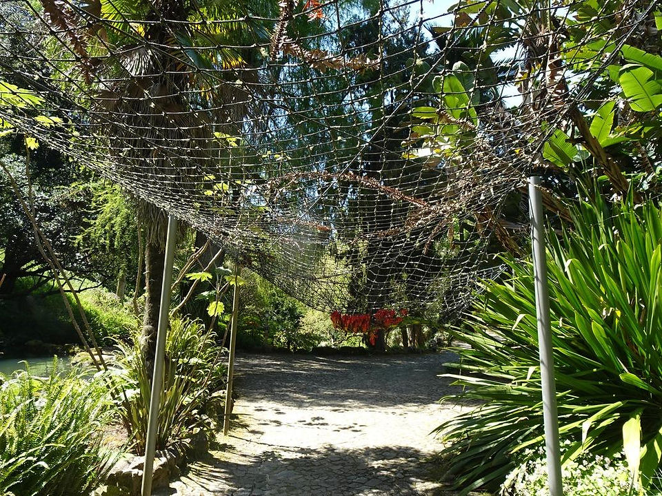 Monserrate - Sintra Parque e Palácio - Passeio Pedestre 2025