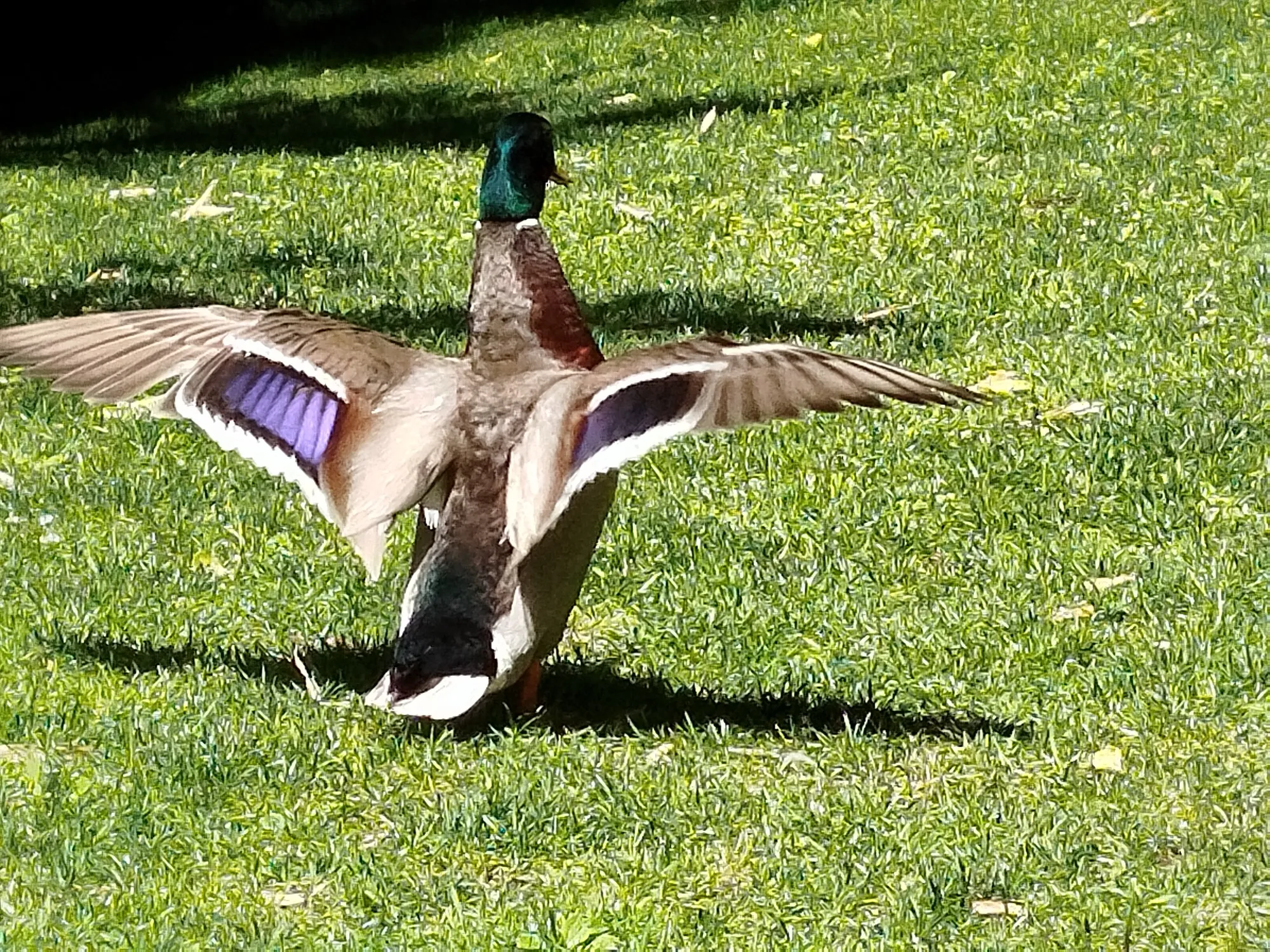 Jardins da Gulbenkian