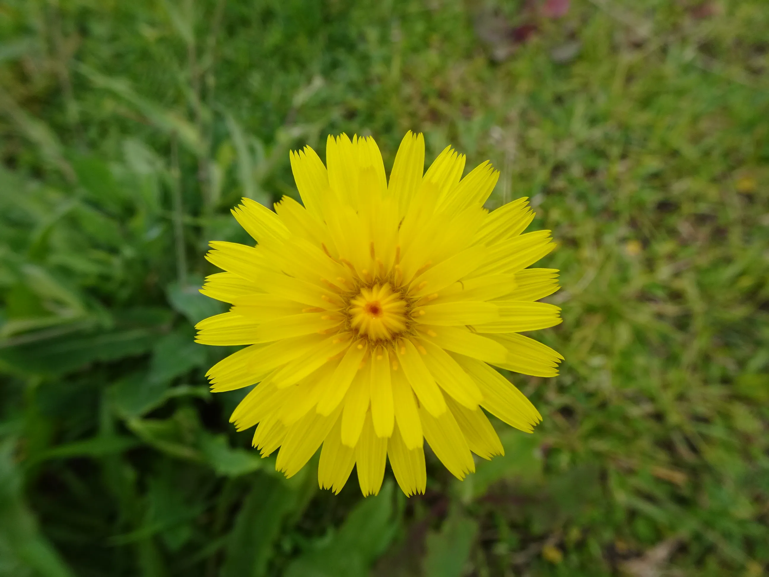 De Alcântara-Mar ao Jardim Tropical em Belém
