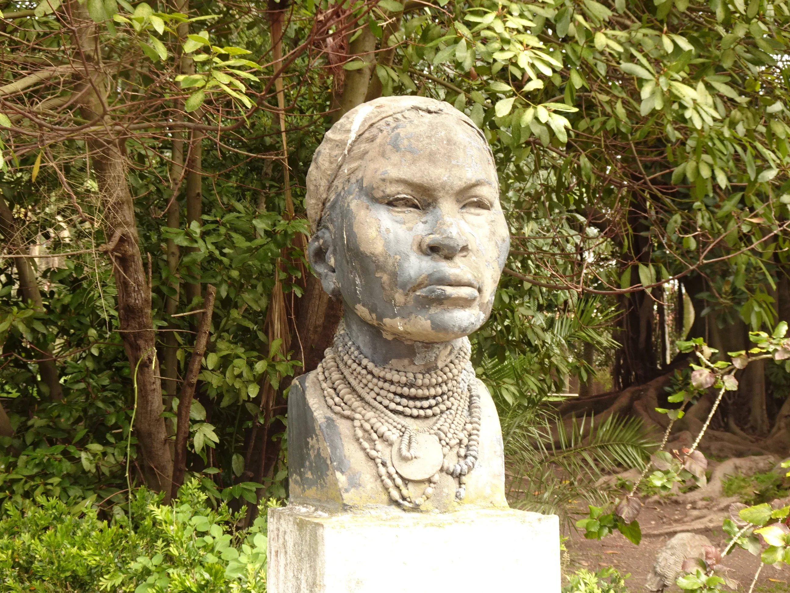 Jardim Botânico Tropical - A Visita