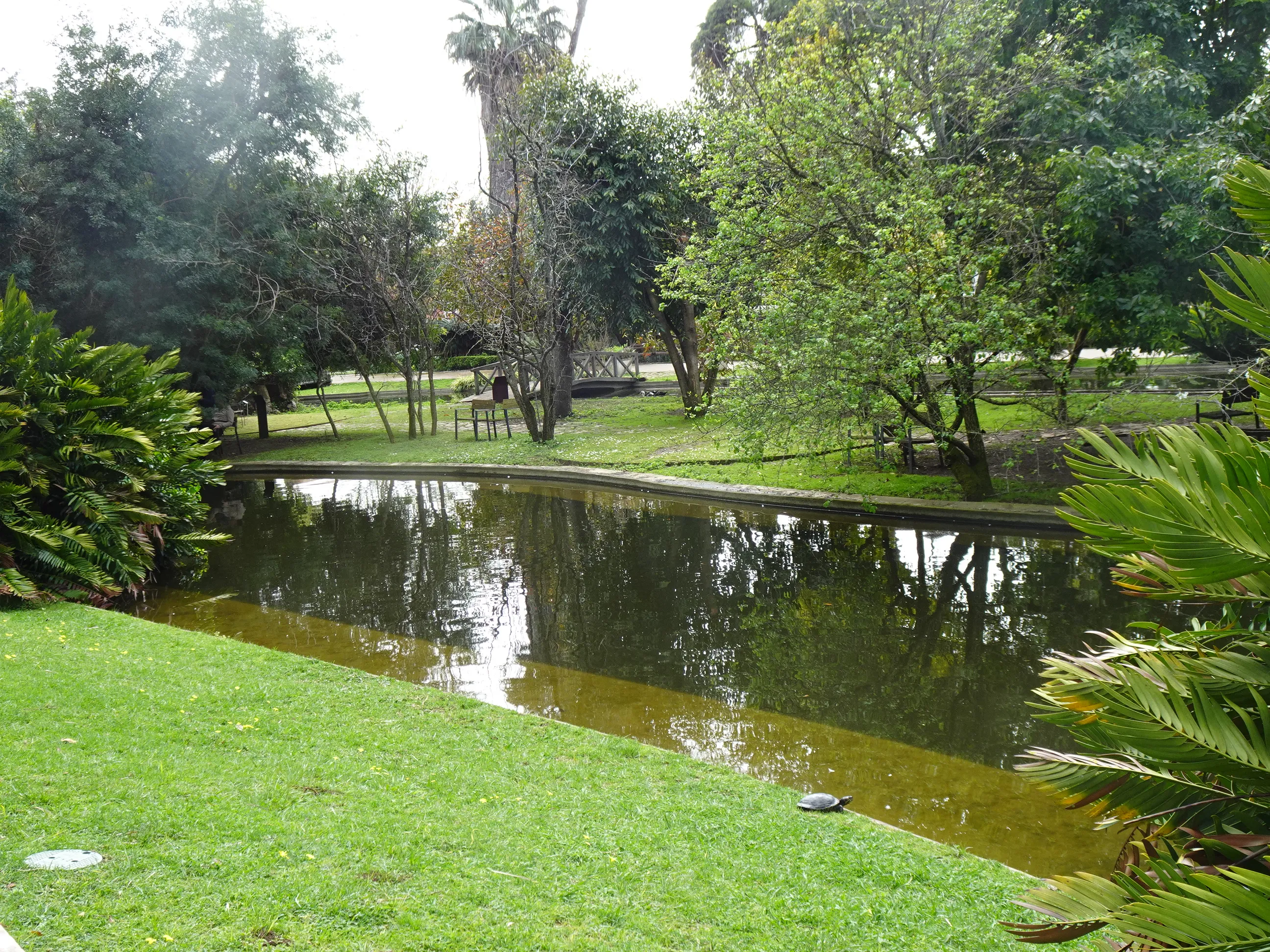 Jardim Botânico Tropical - A Visita