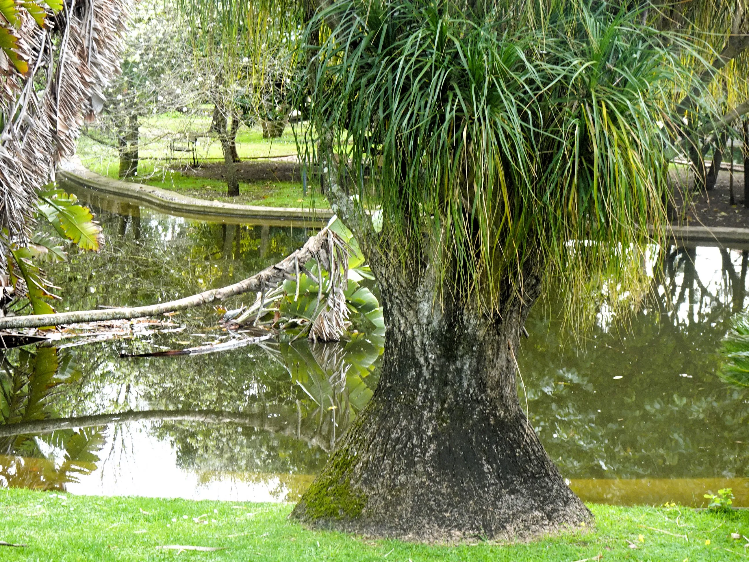 Jardim Botânico Tropical - A Visita