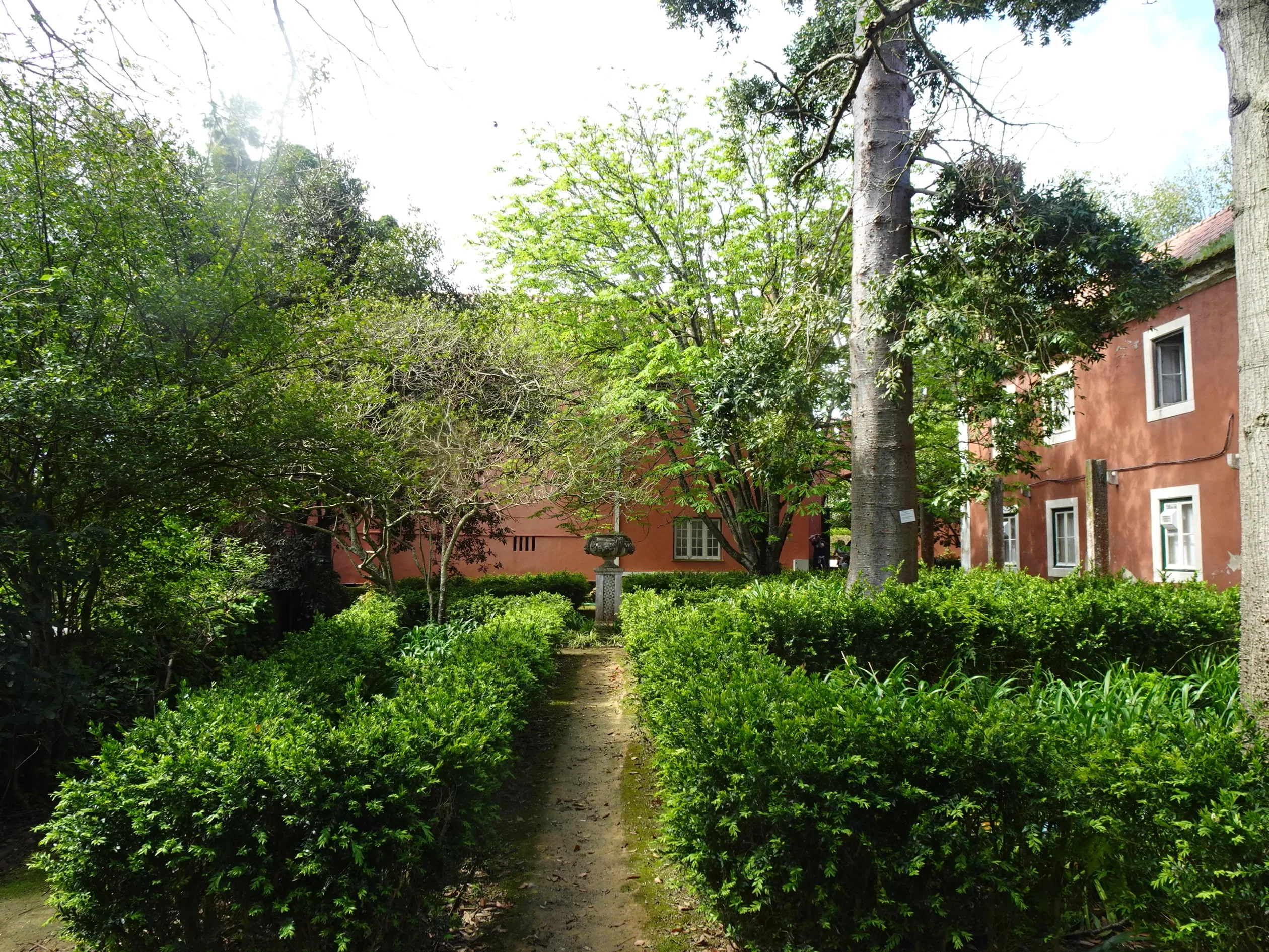 Jardim Botânico Tropical - A Visita