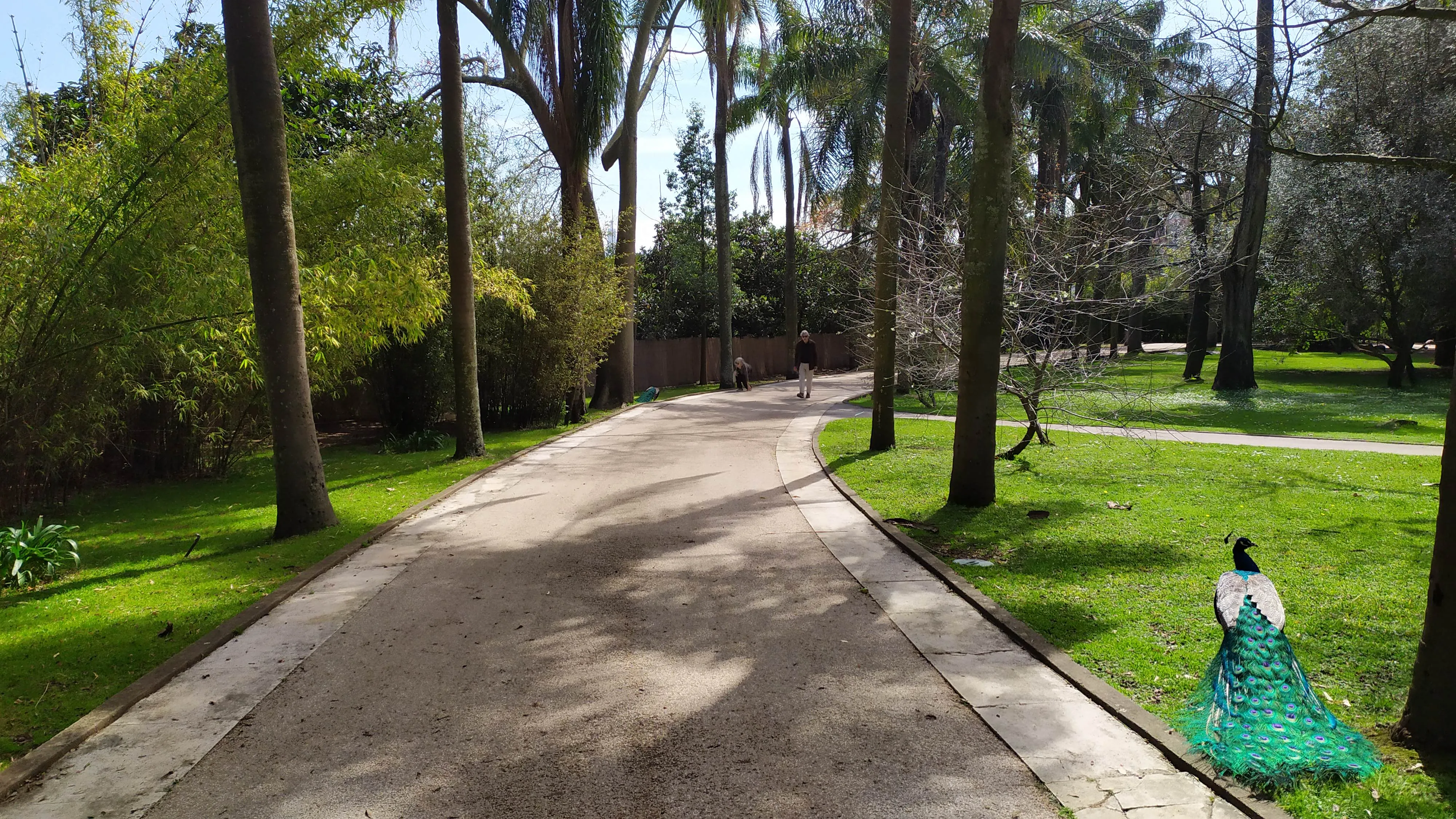 Jardim Botânico Tropical - A Fauna