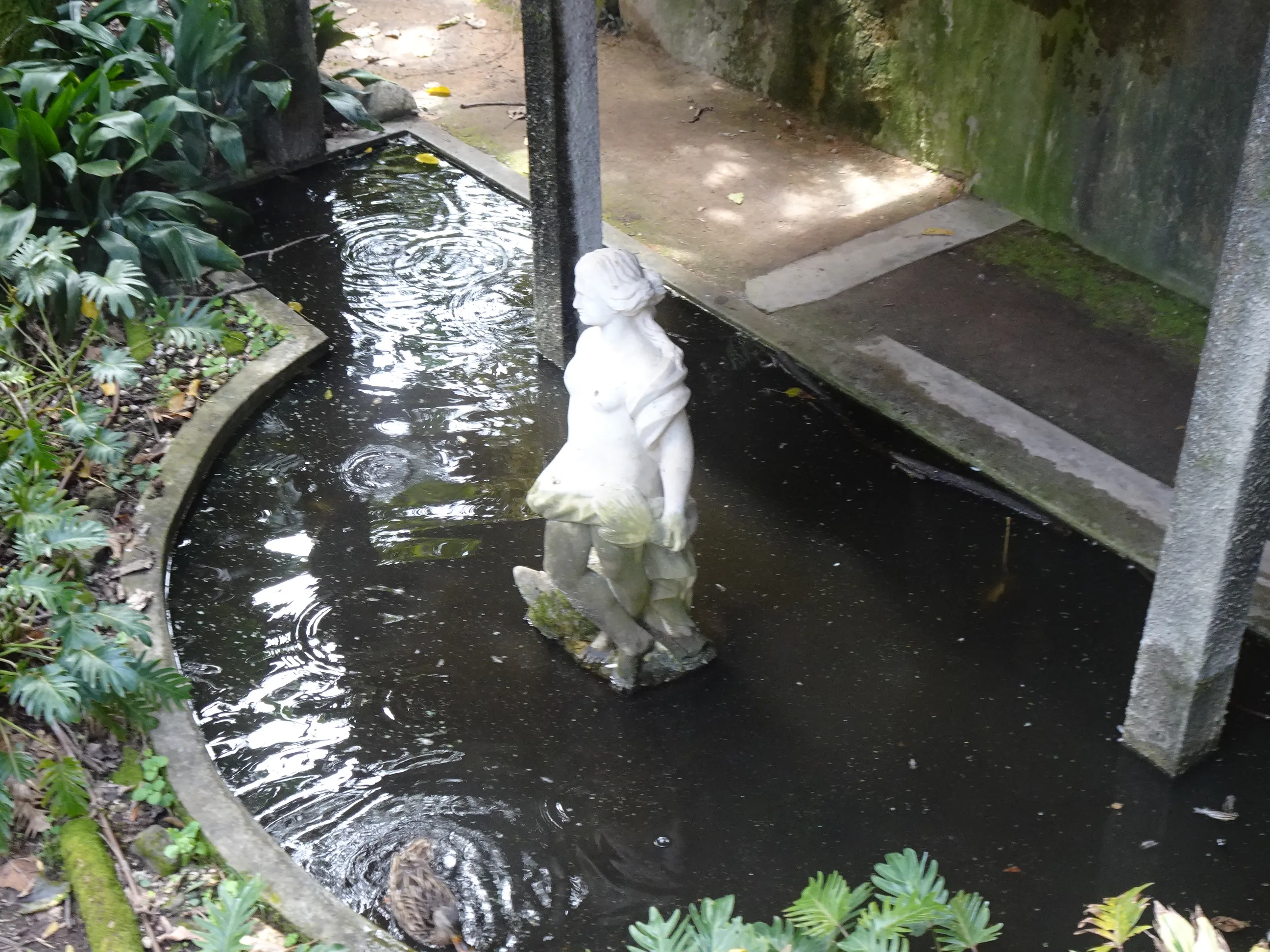 Jardim Botânico Tropical - A Visita