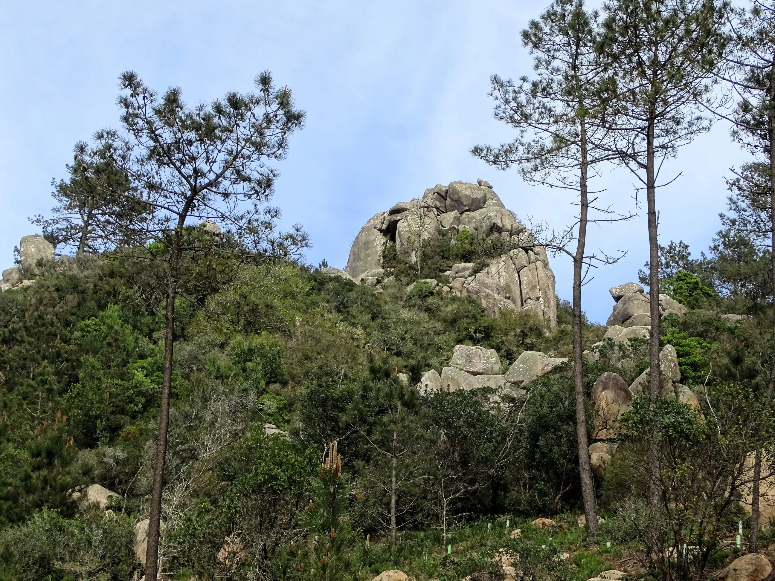 Passeio Pedestre à Lagoa Azul - SPN | 17032024