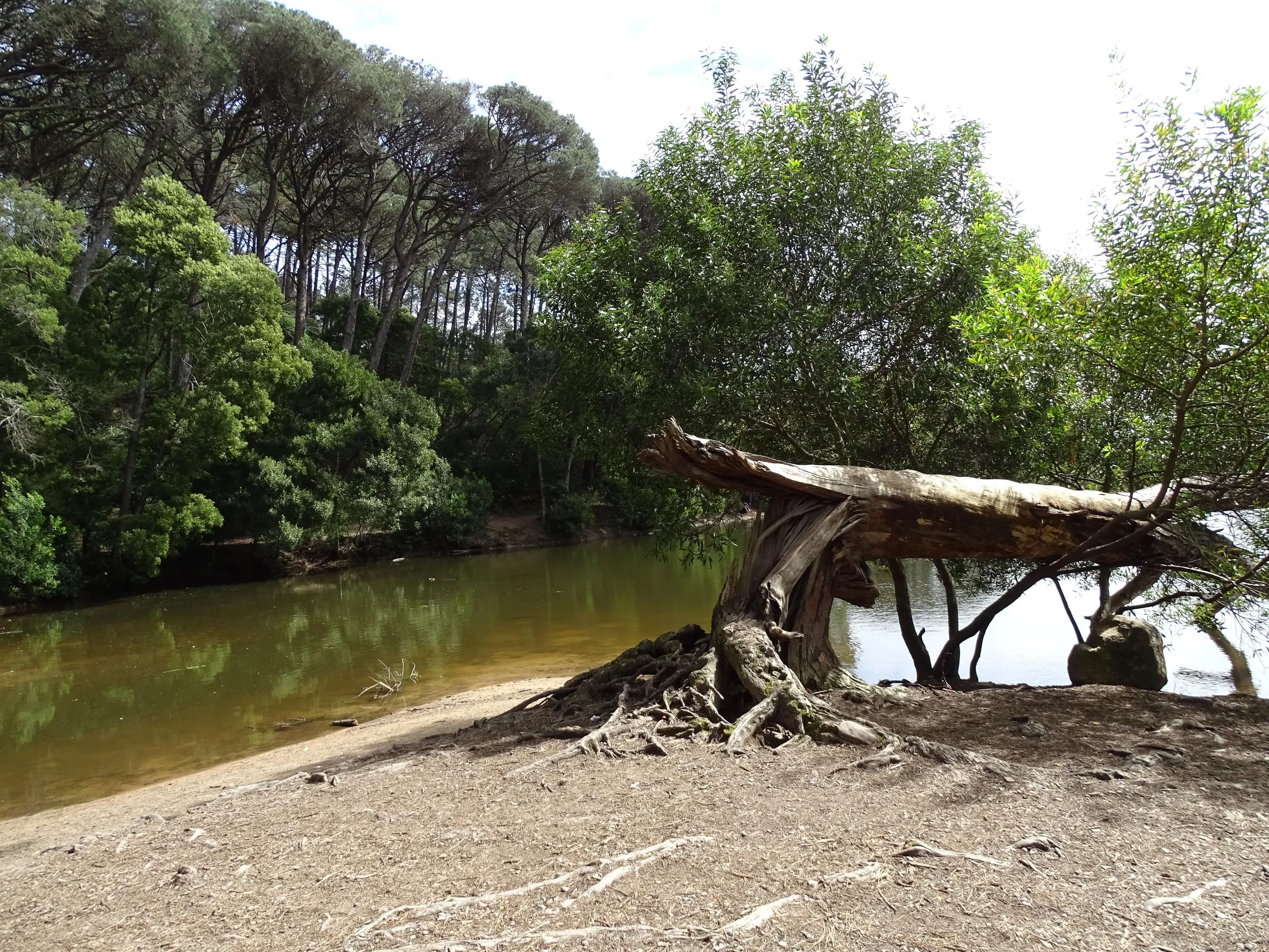 Passeio Pedestre à Lagoa Azul - SPN | 17032024